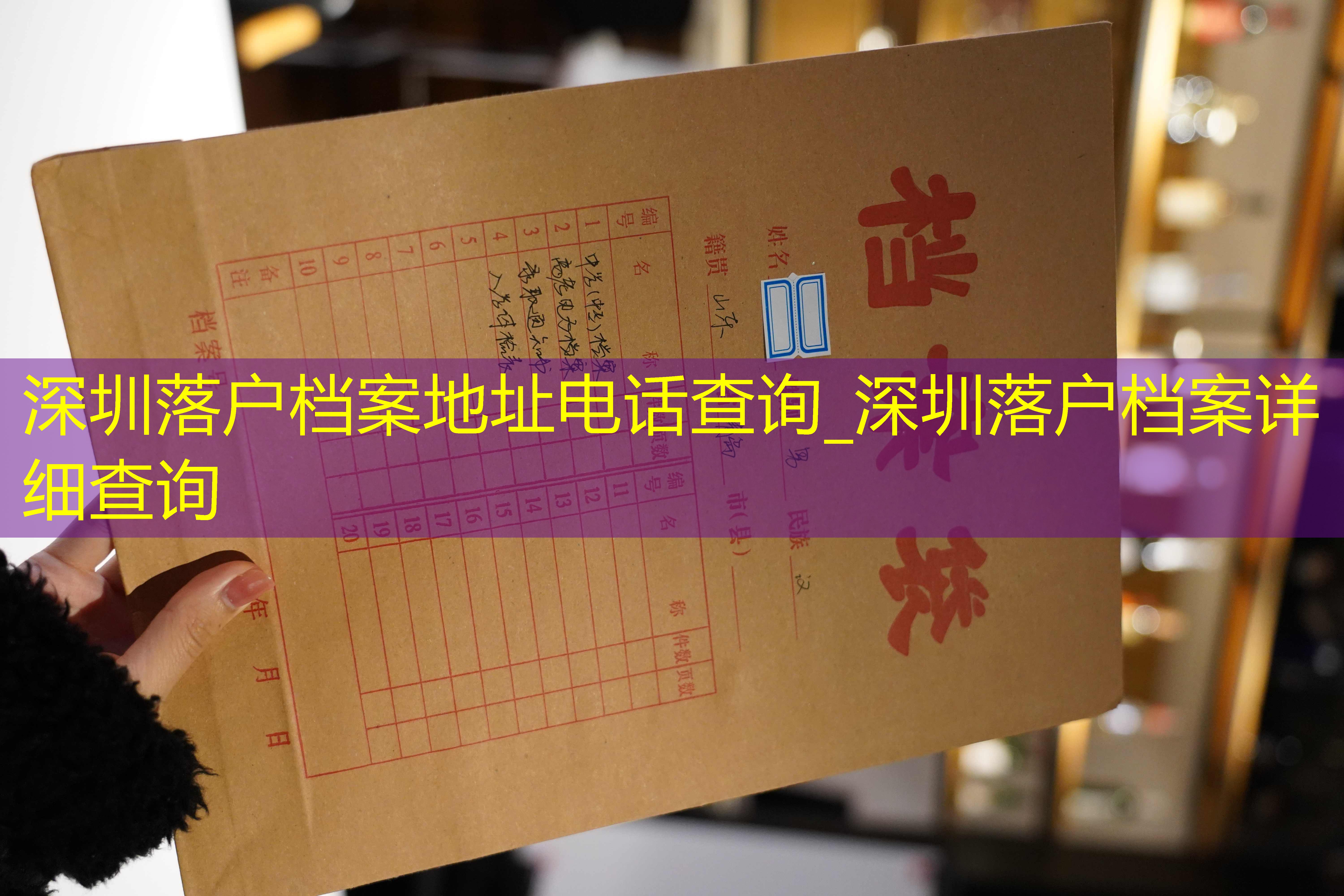 档案查询