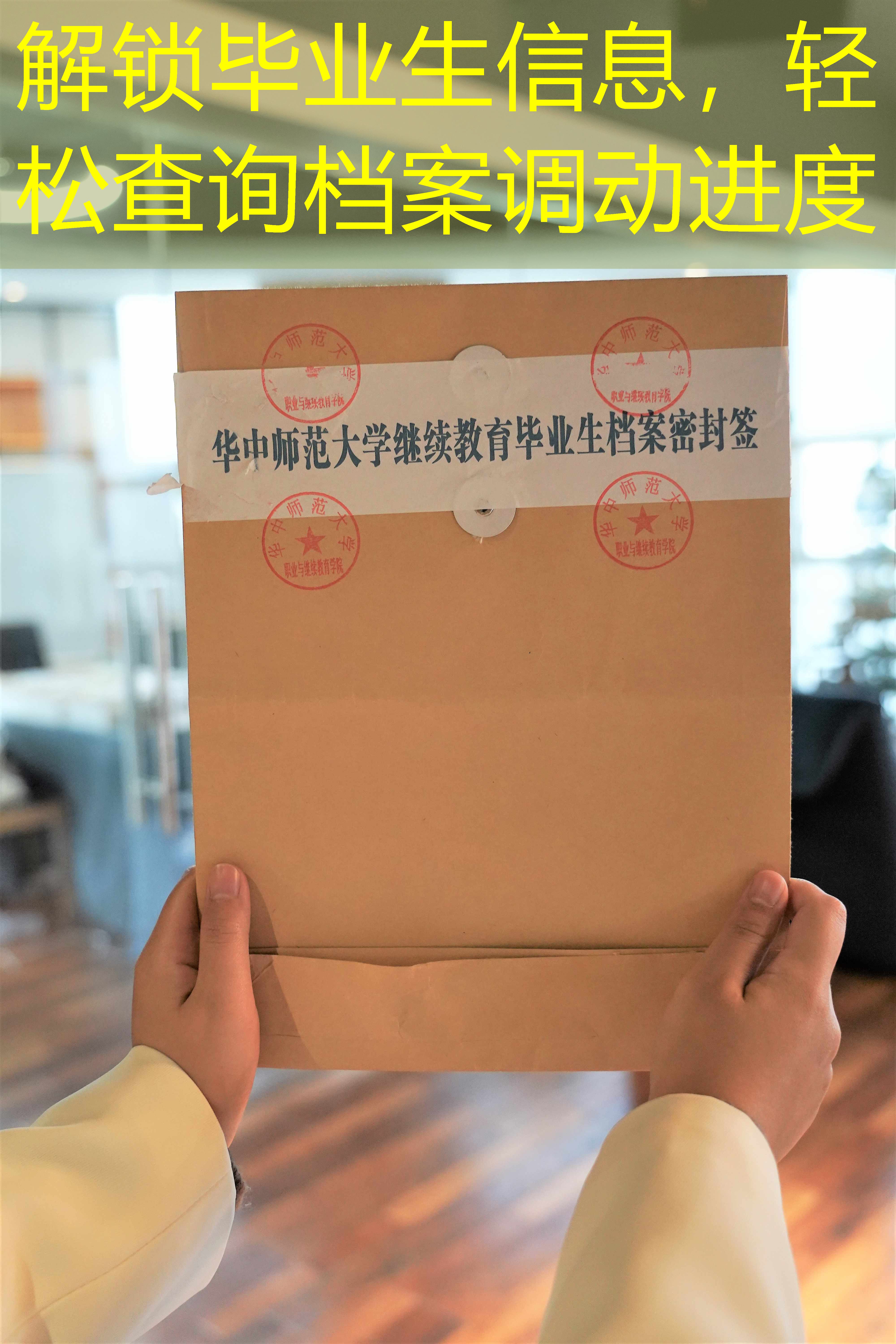 档案查询