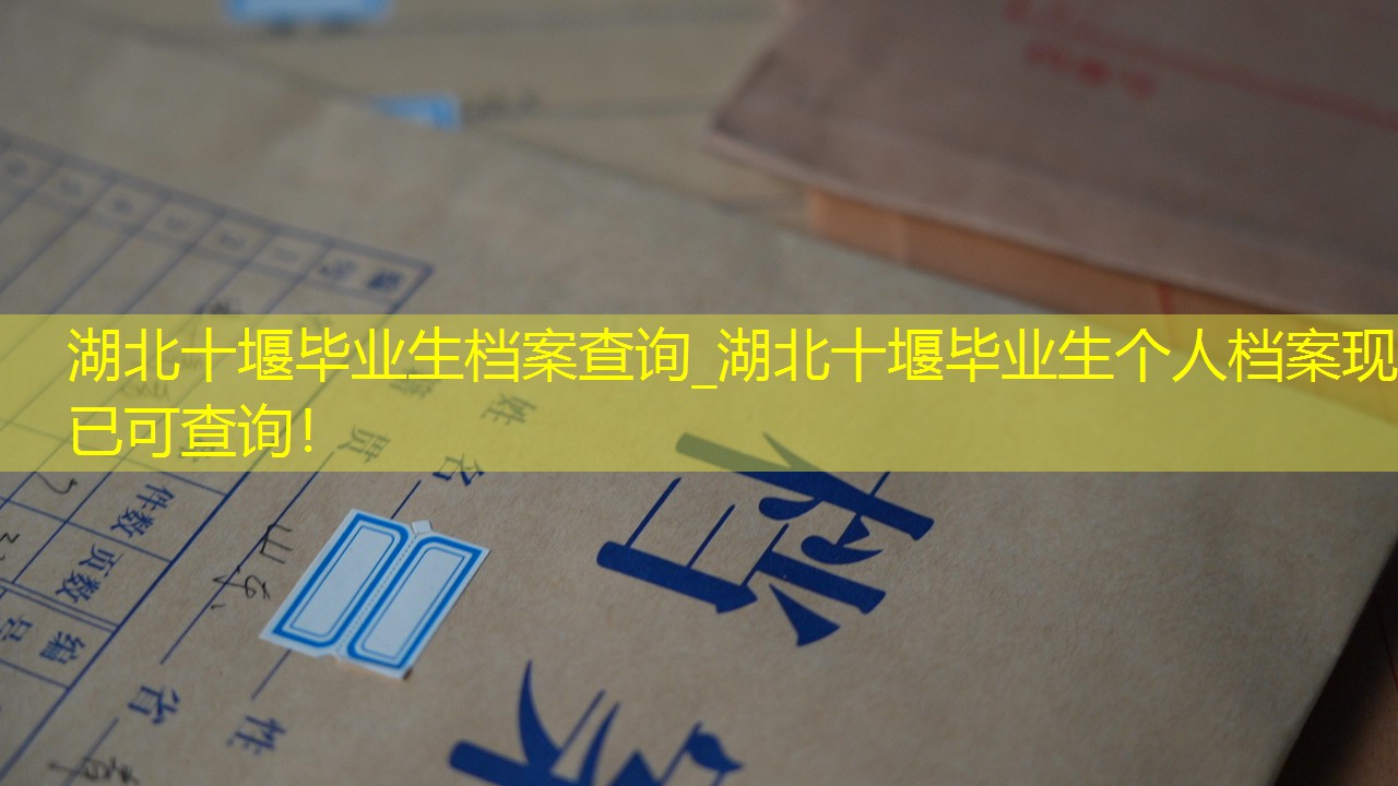档案查询