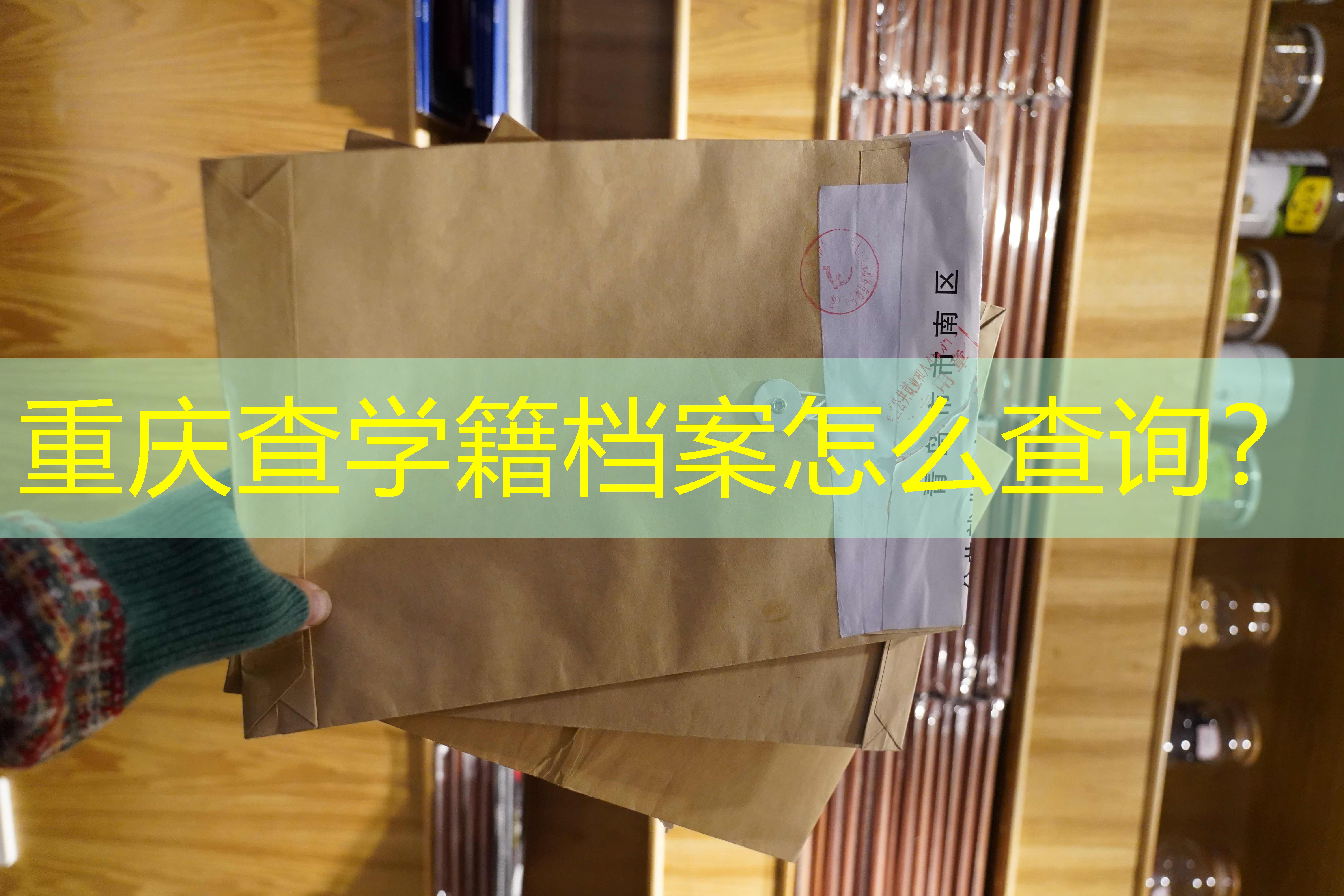 档案查询