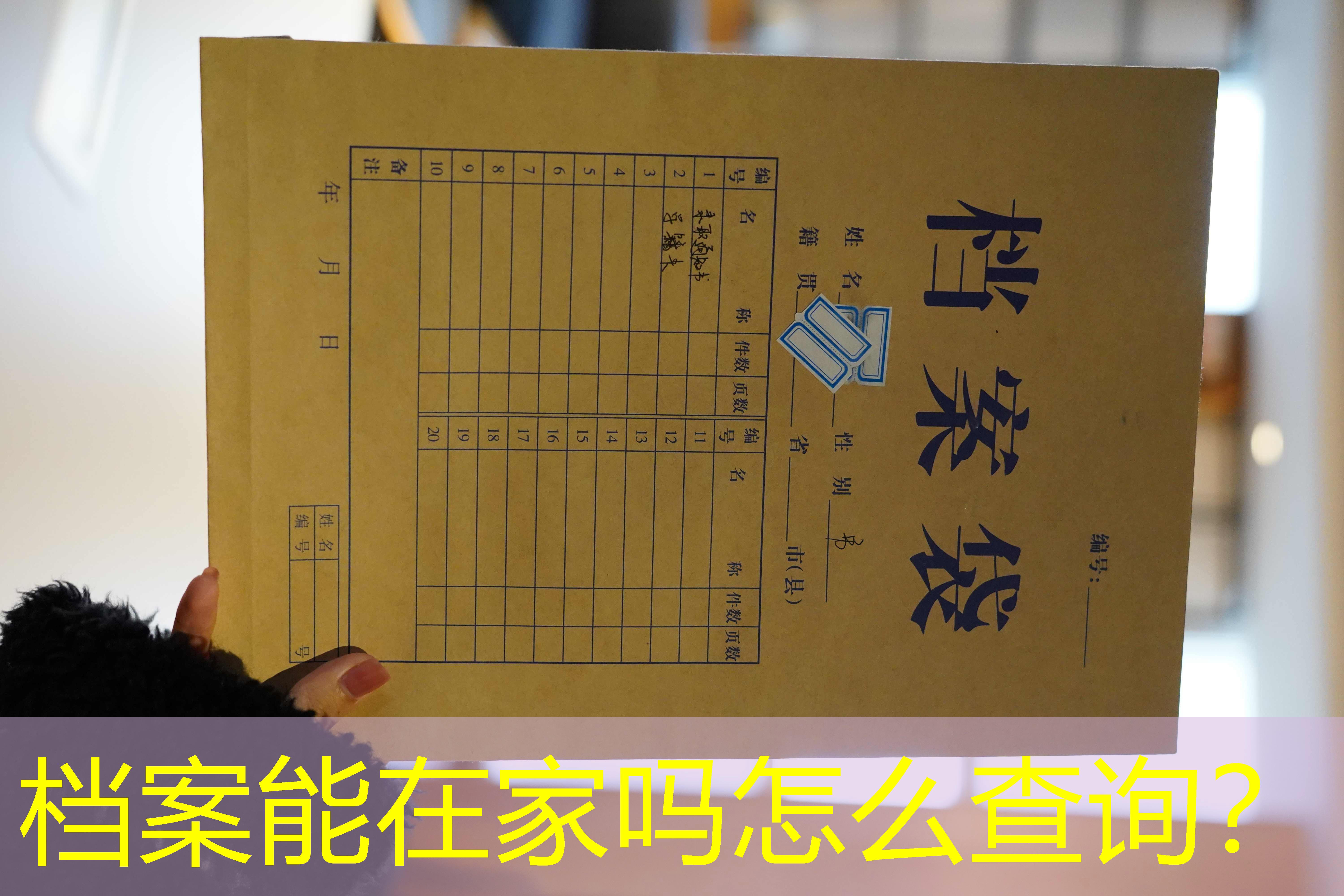 档案查询