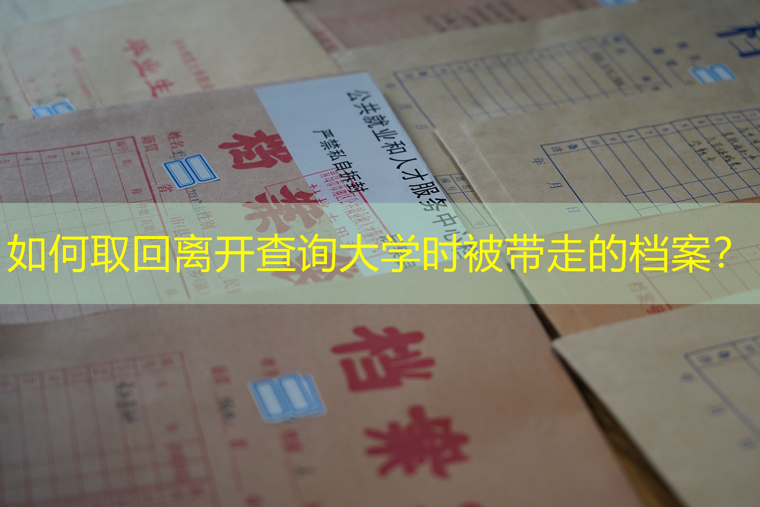 档案查询