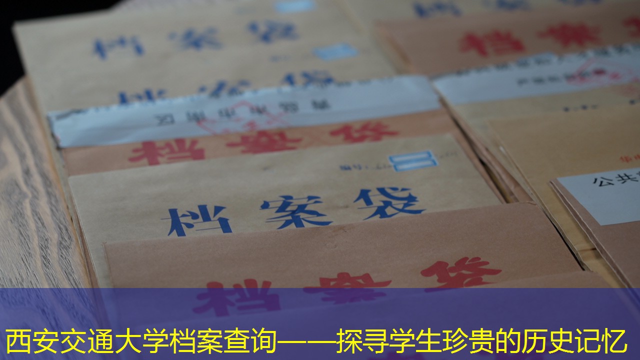 档案查询