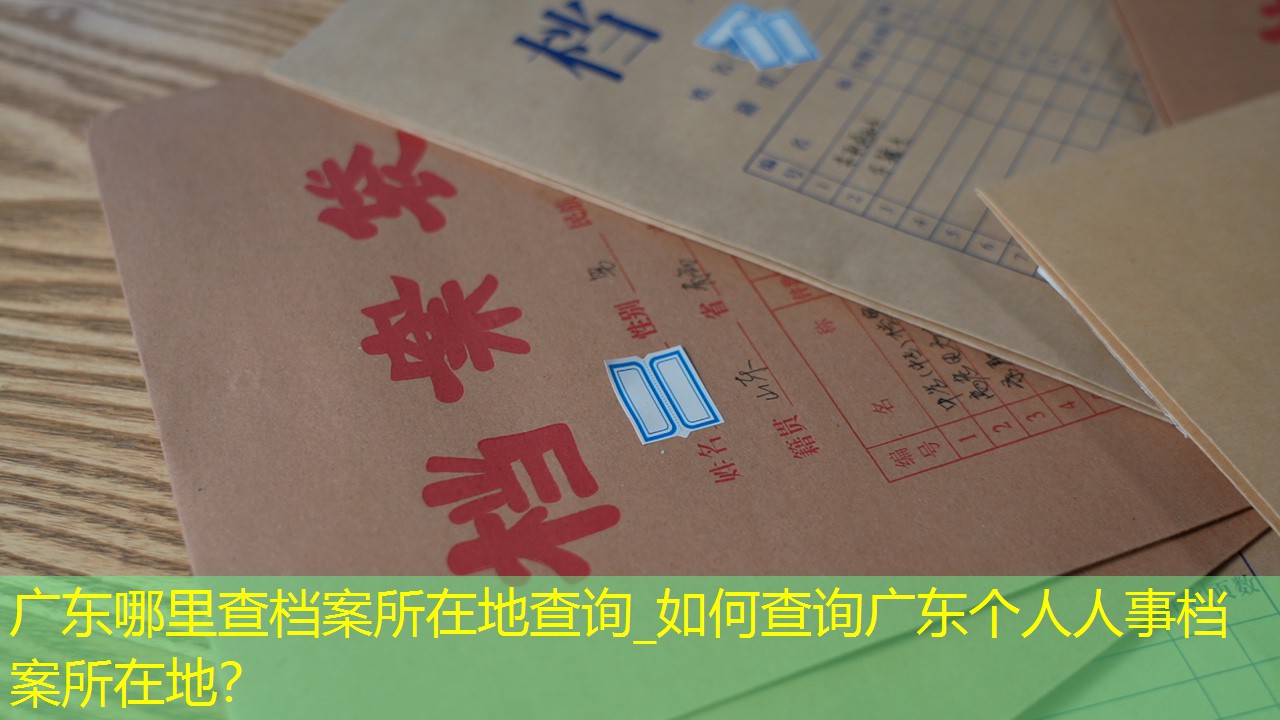 档案查询