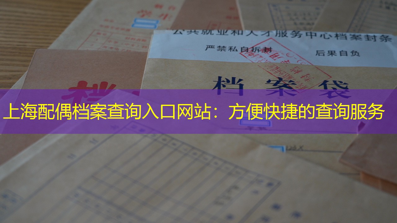 档案查询