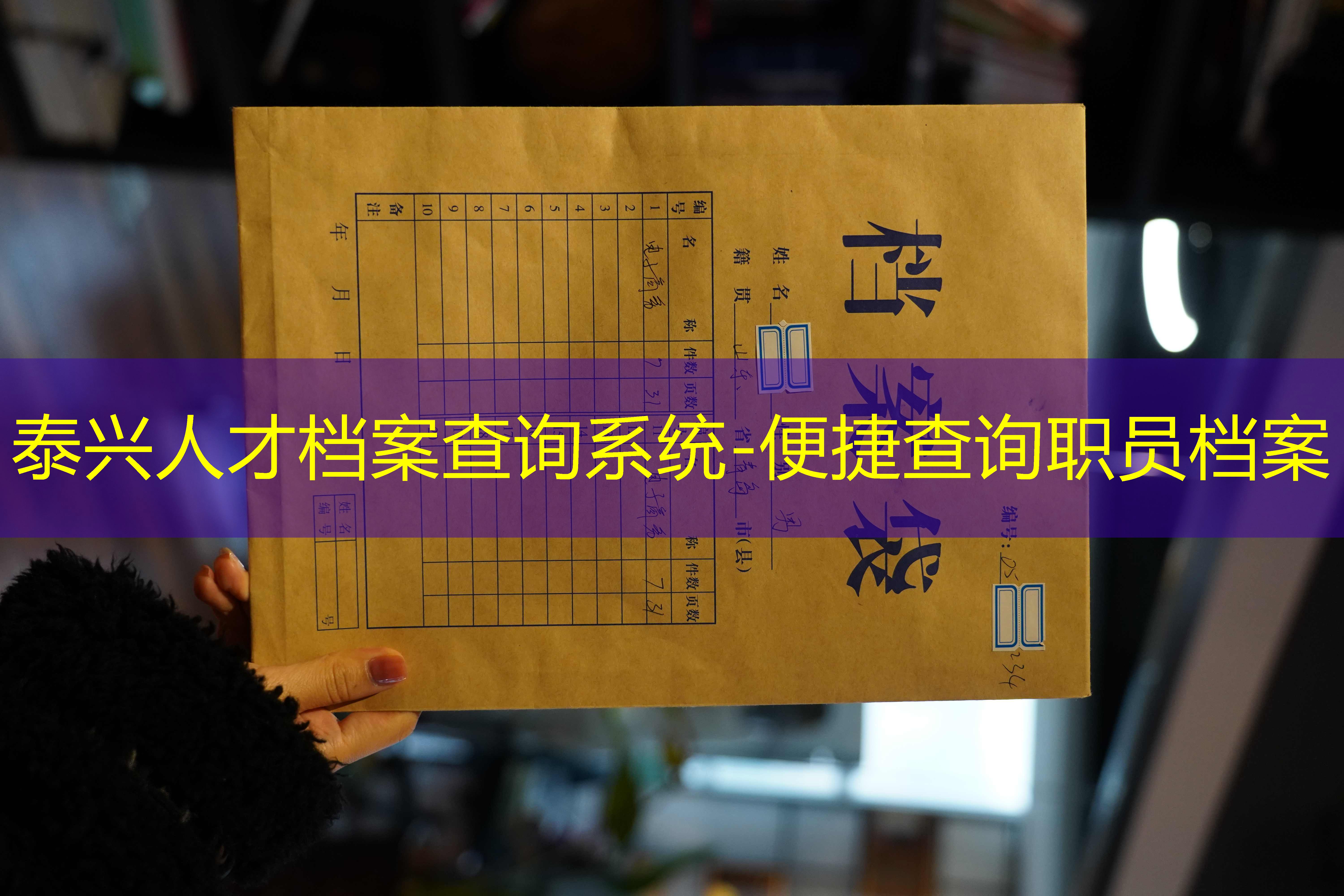 档案查询