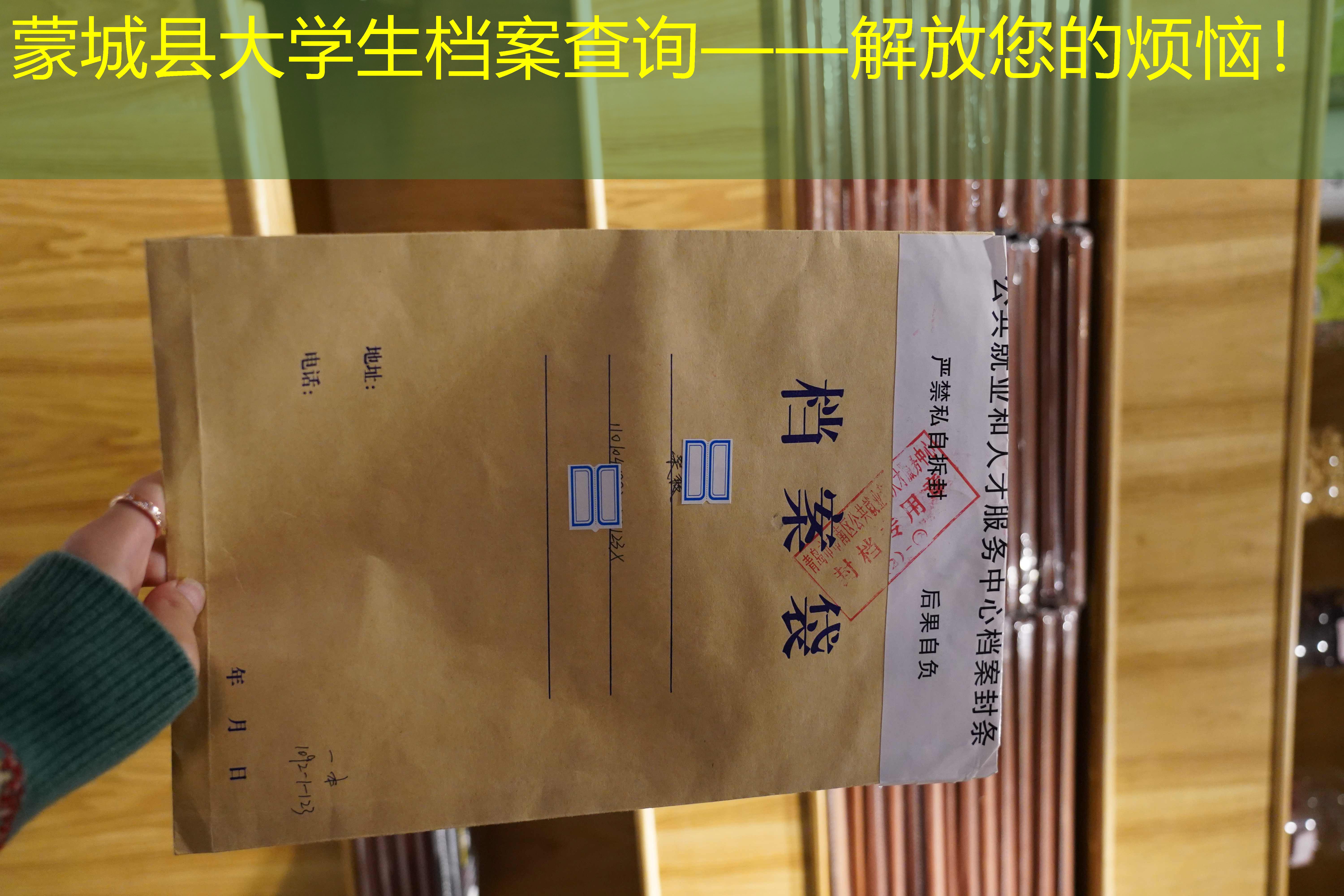 档案查询