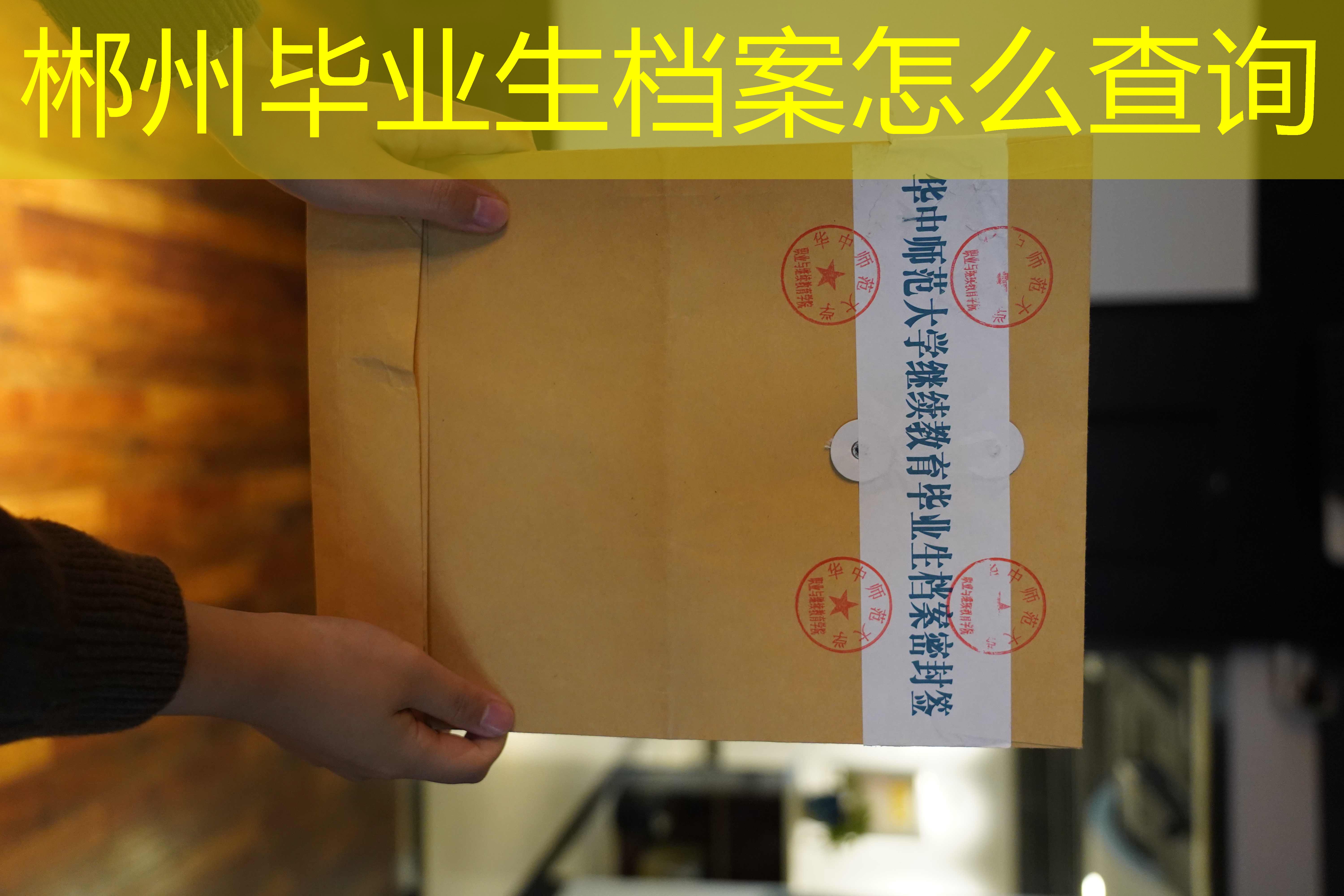 档案查询