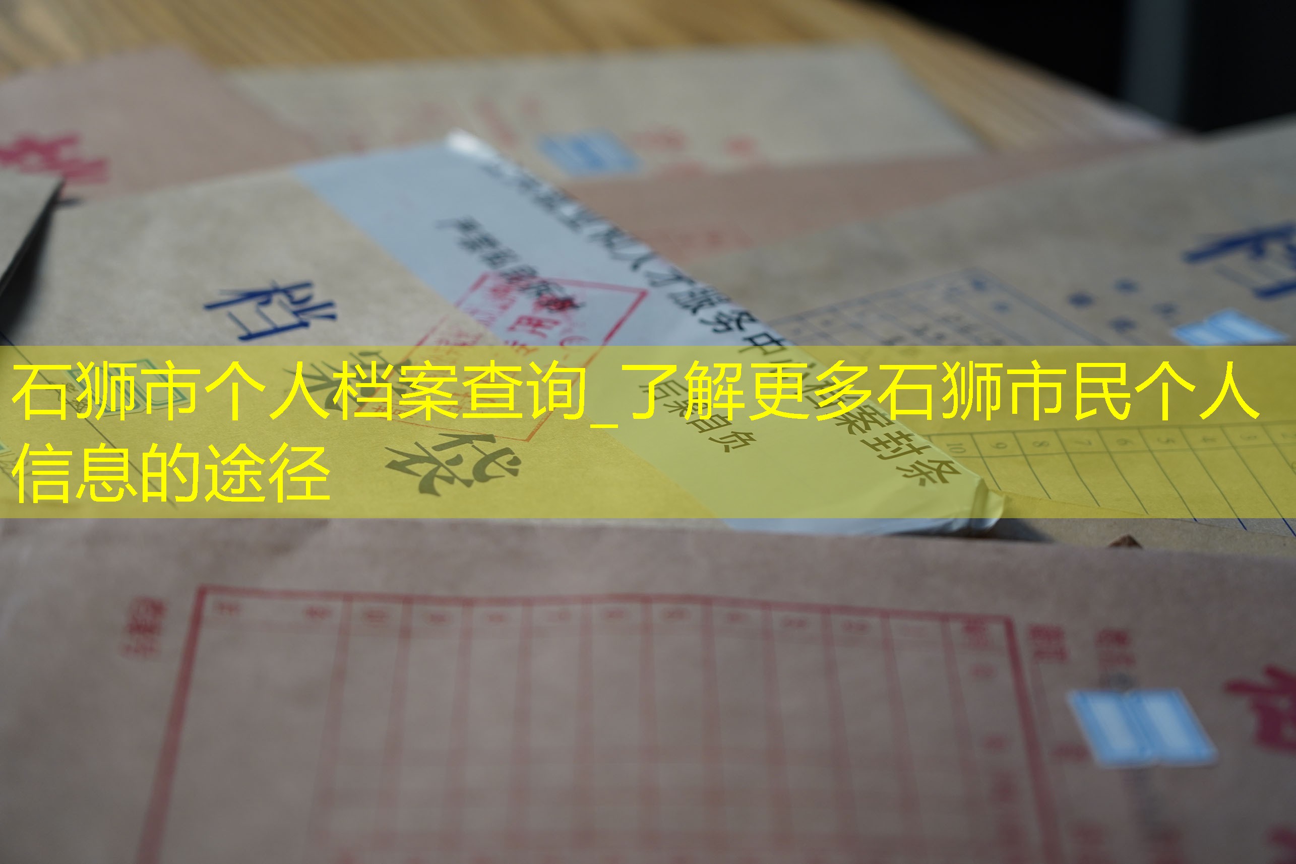 档案查询