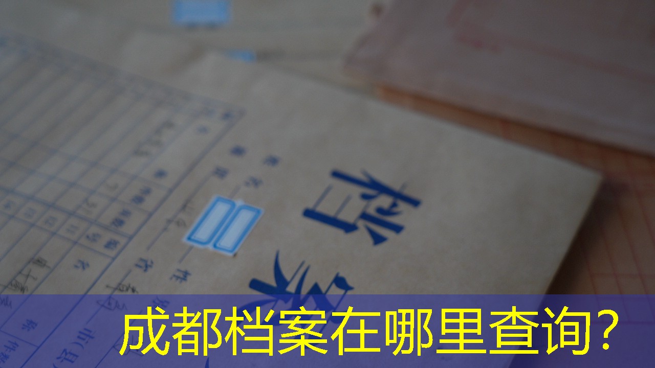 档案查询