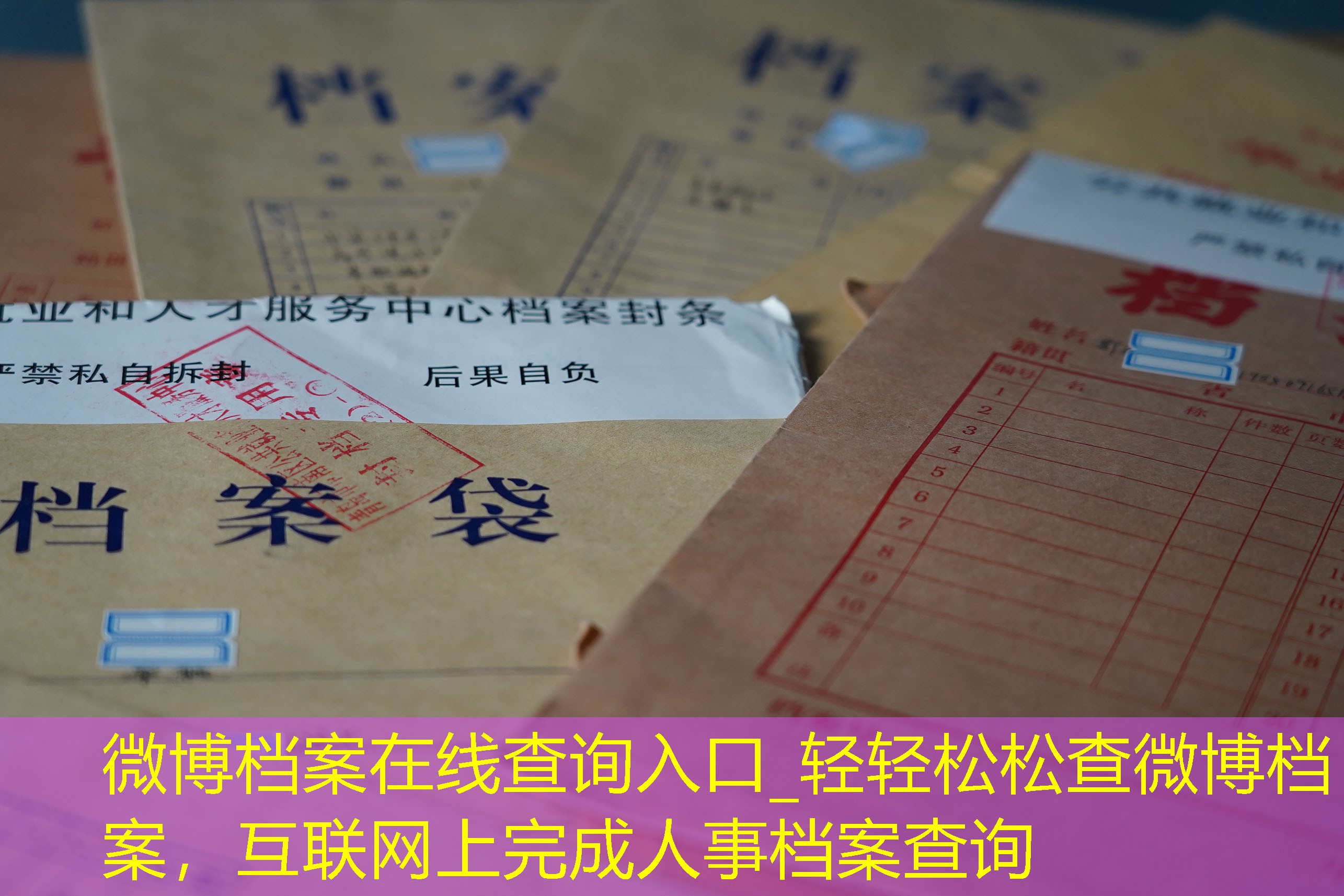 档案查询