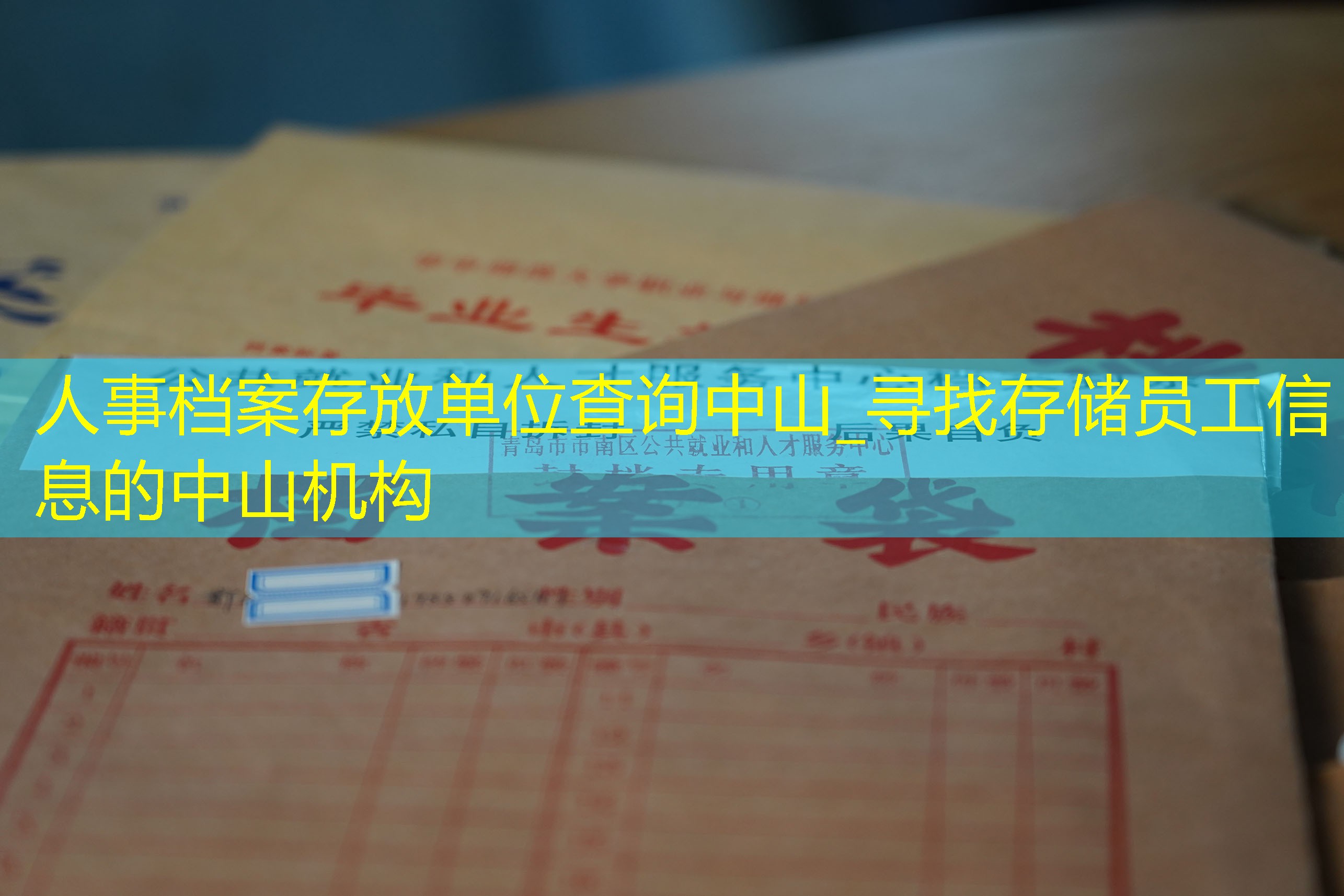 档案查询