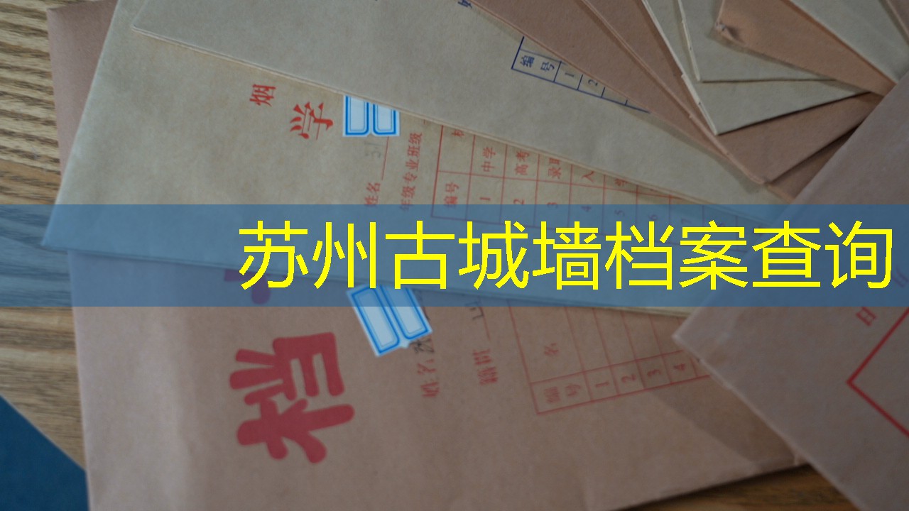 档案查询