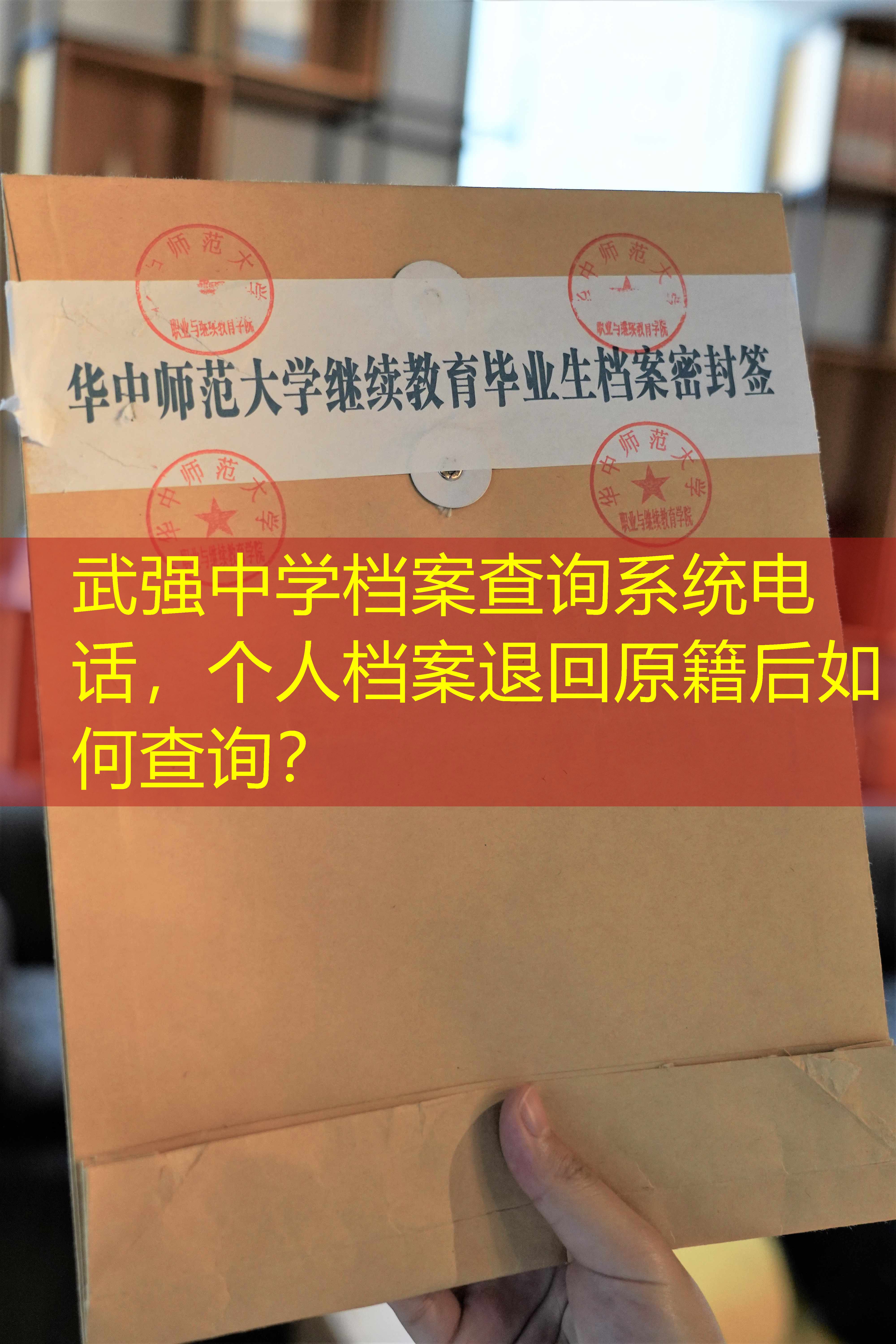 档案查询