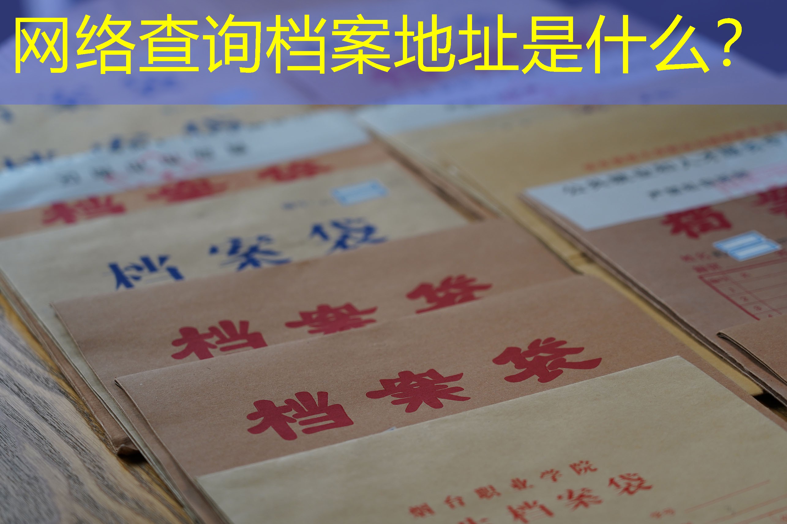 档案查询