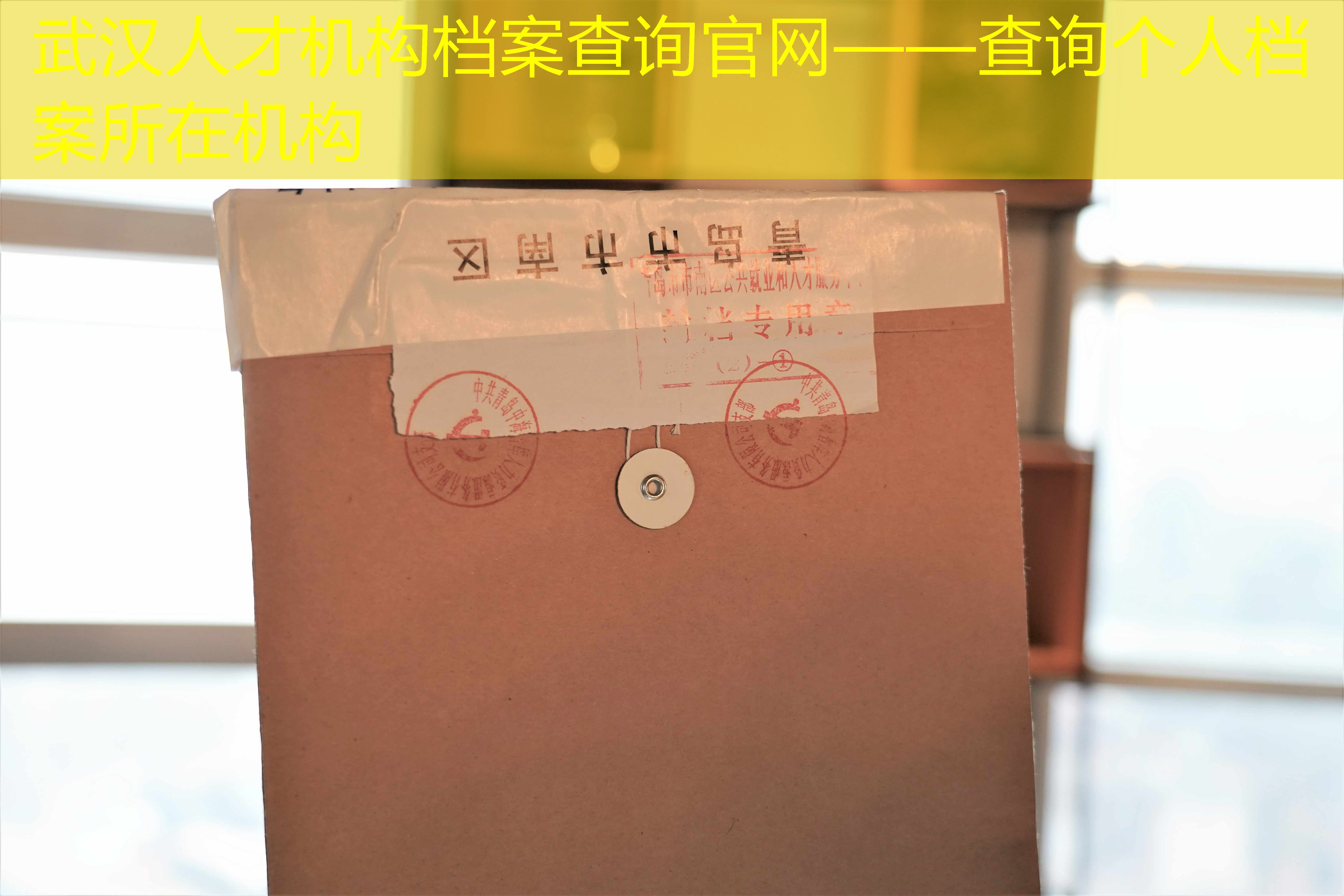档案查询