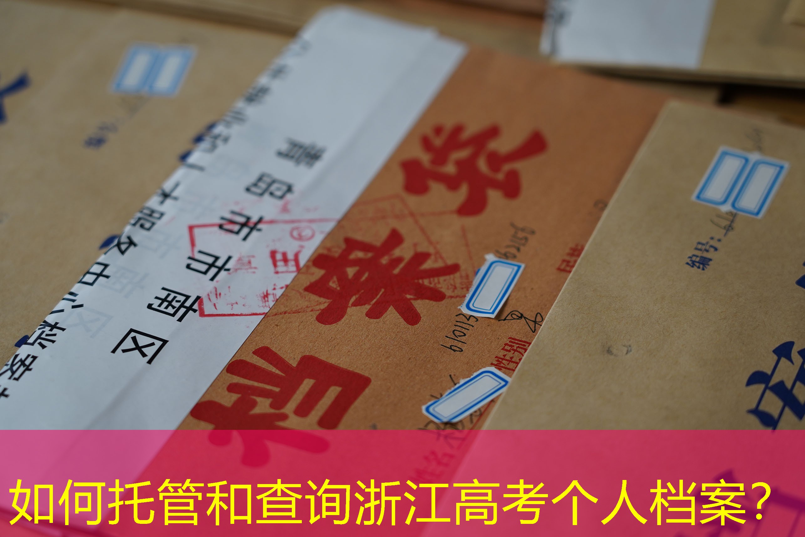 档案查询