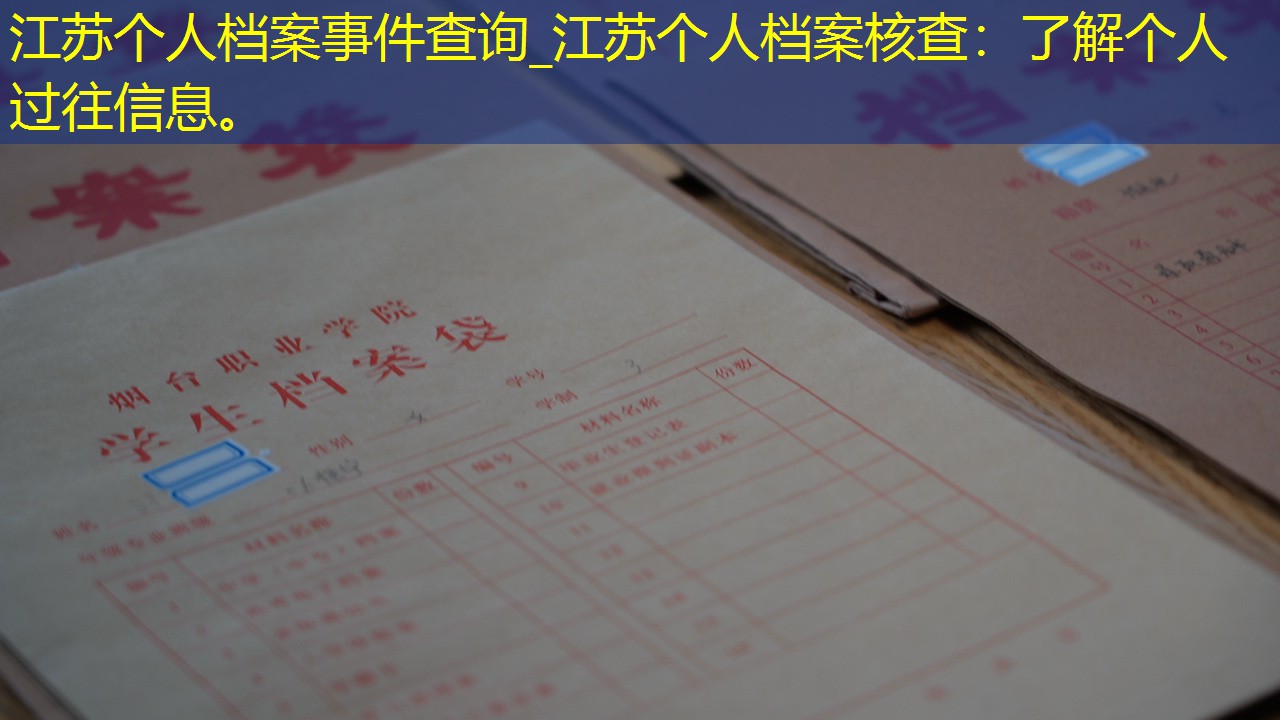 档案查询