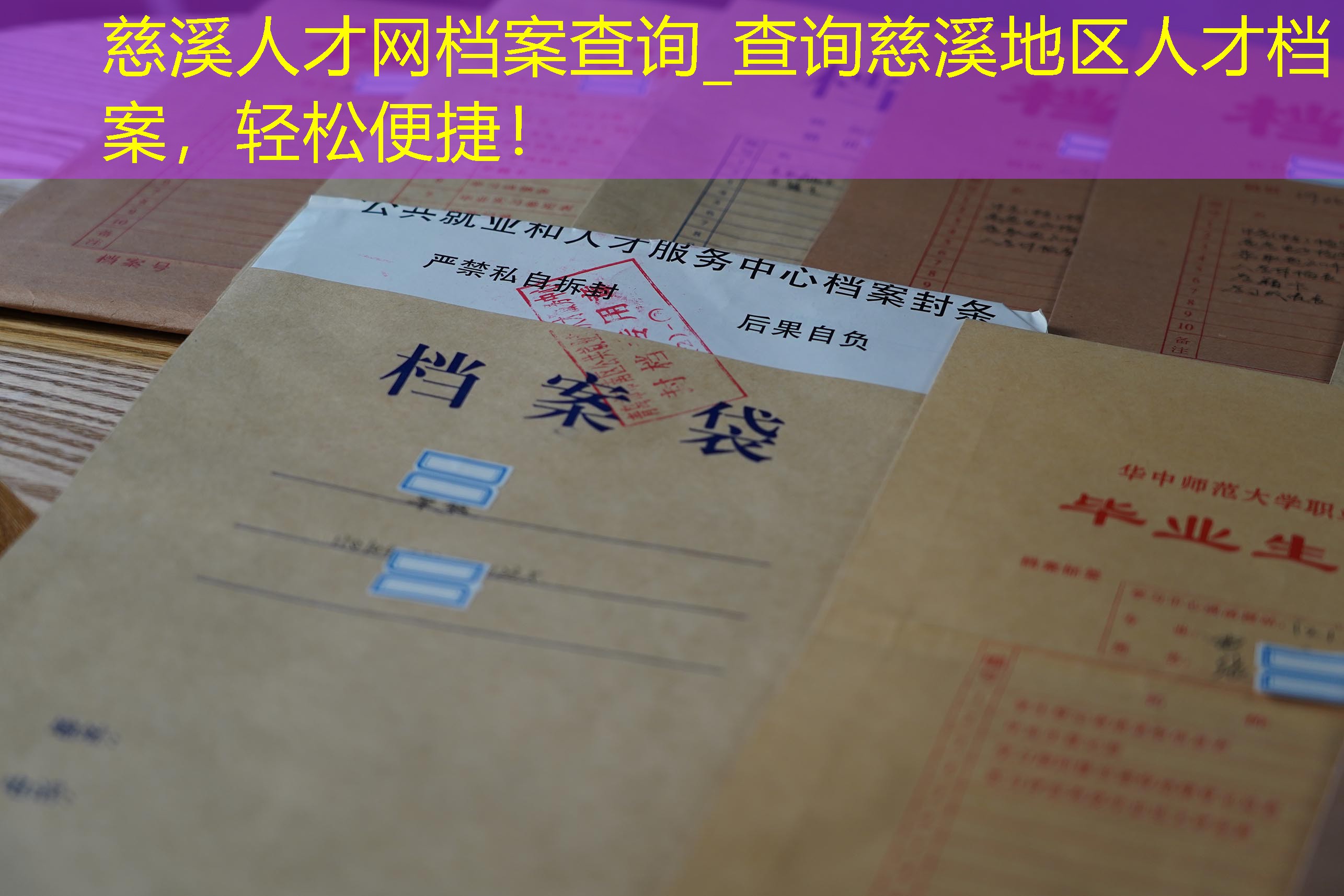 档案查询