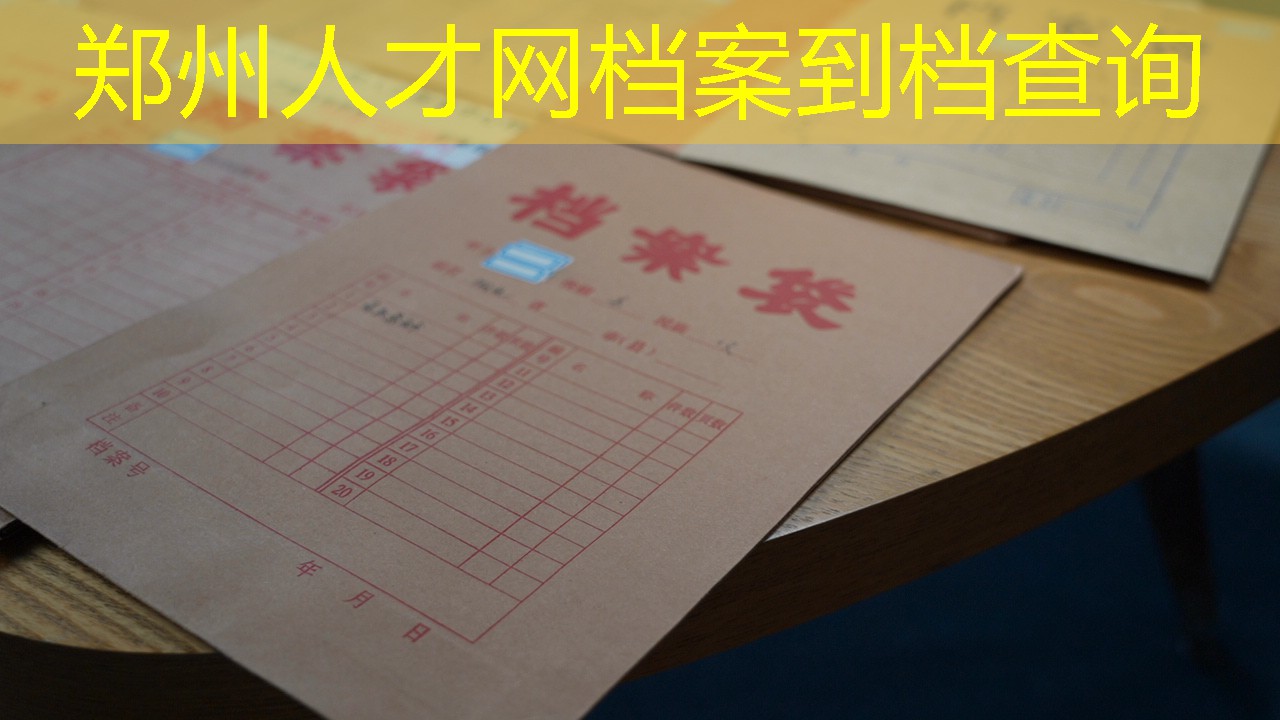 档案查询