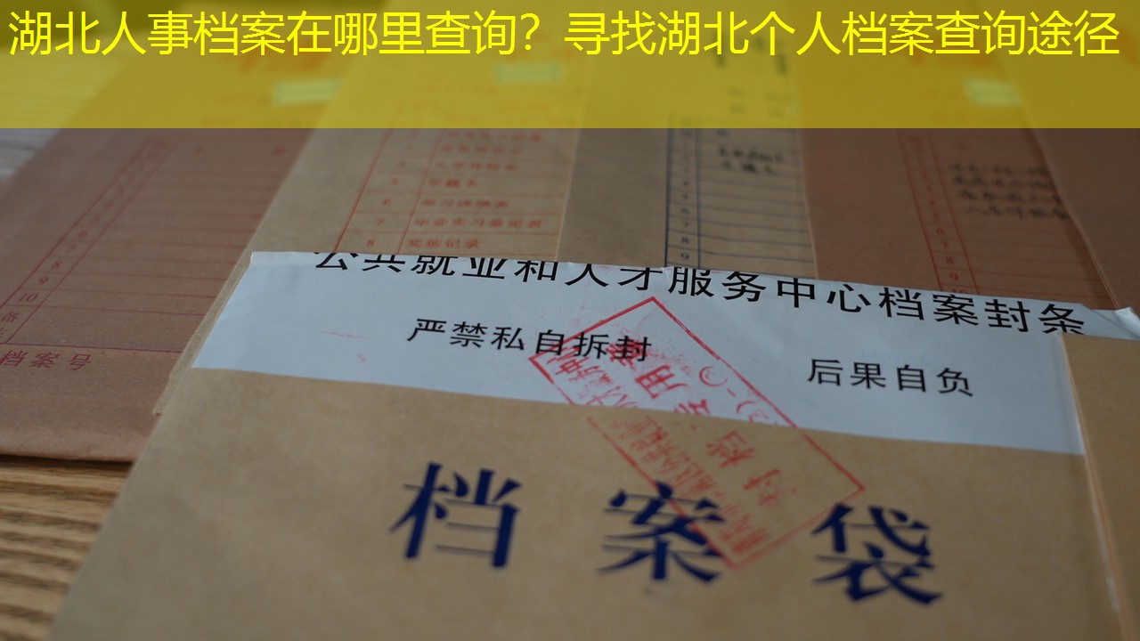 档案查询