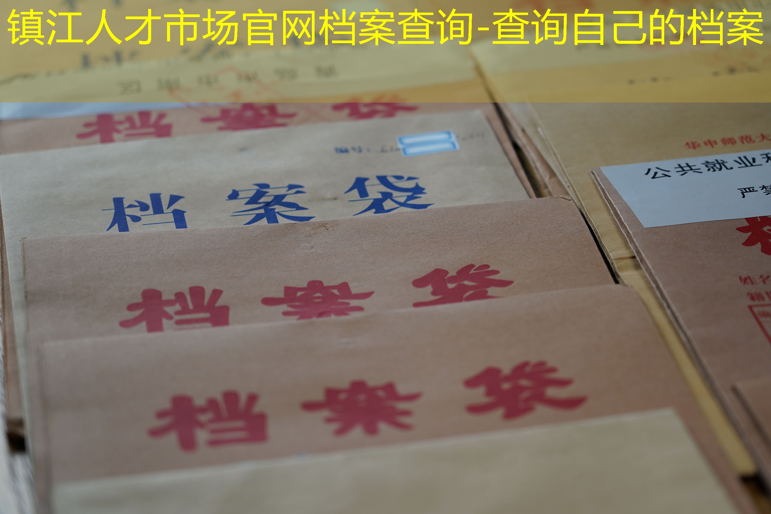 档案查询