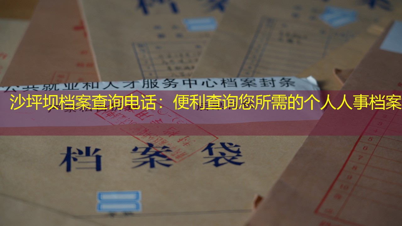 档案查询