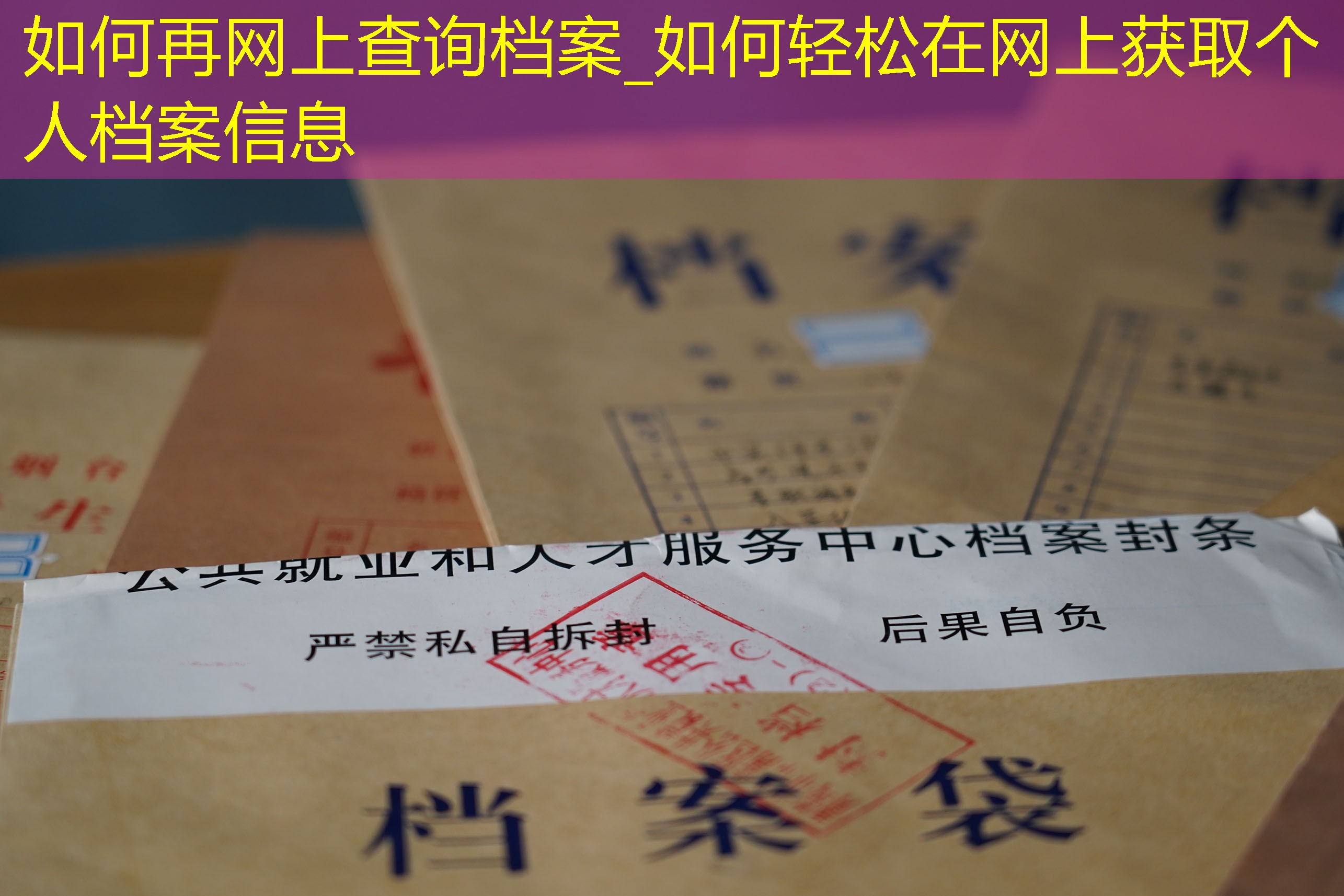 档案查询