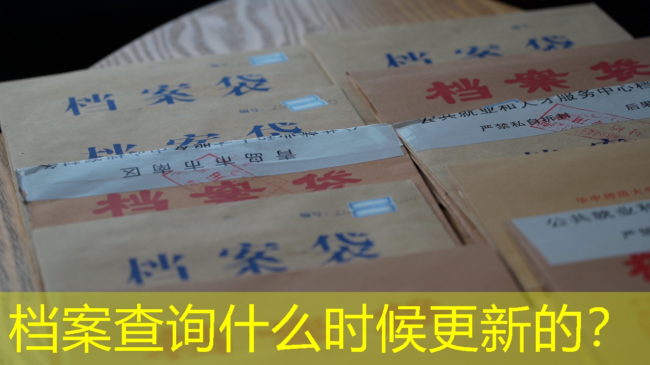 档案查询