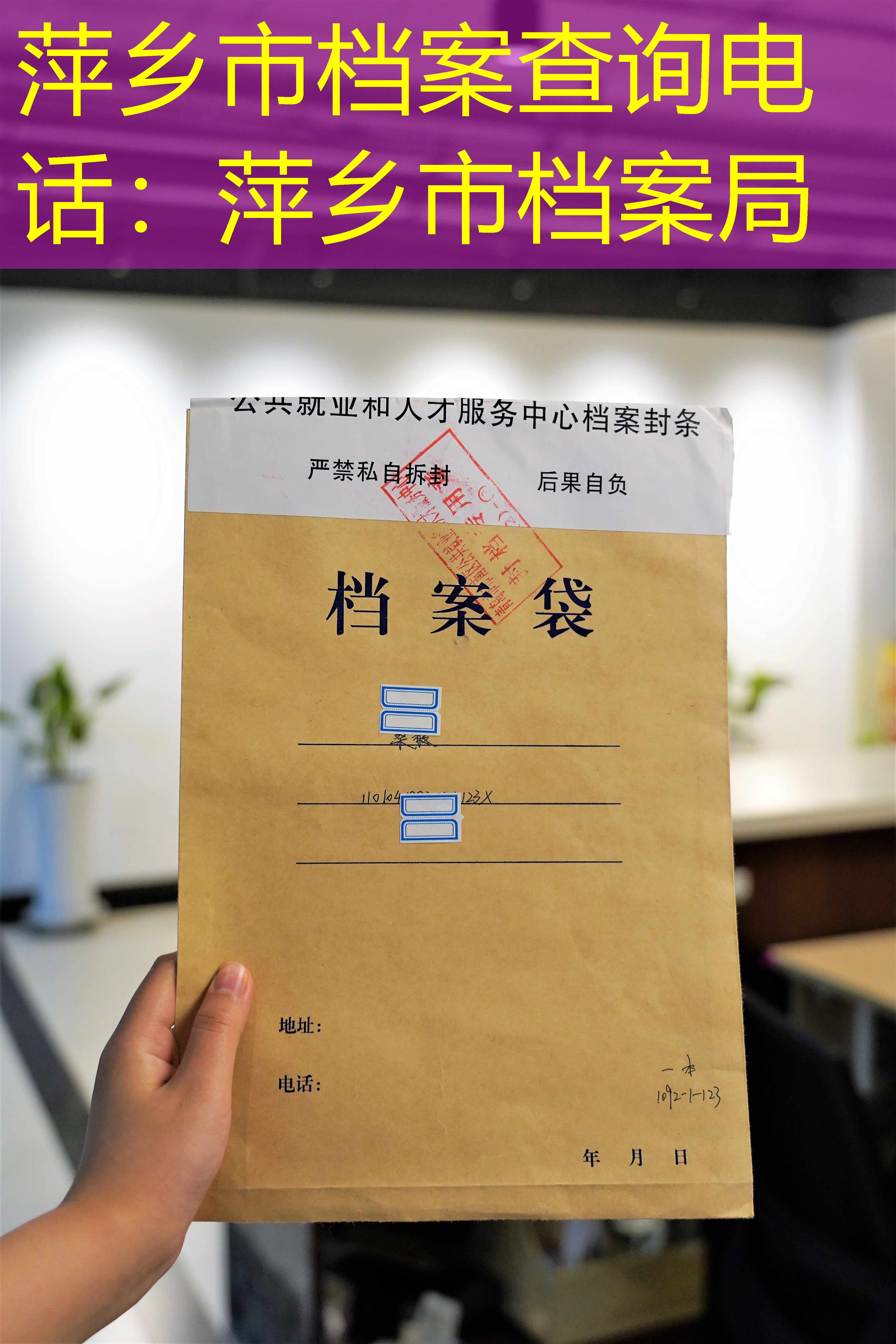 档案查询