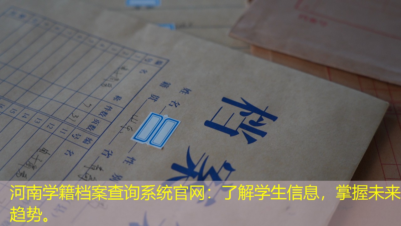 档案查询