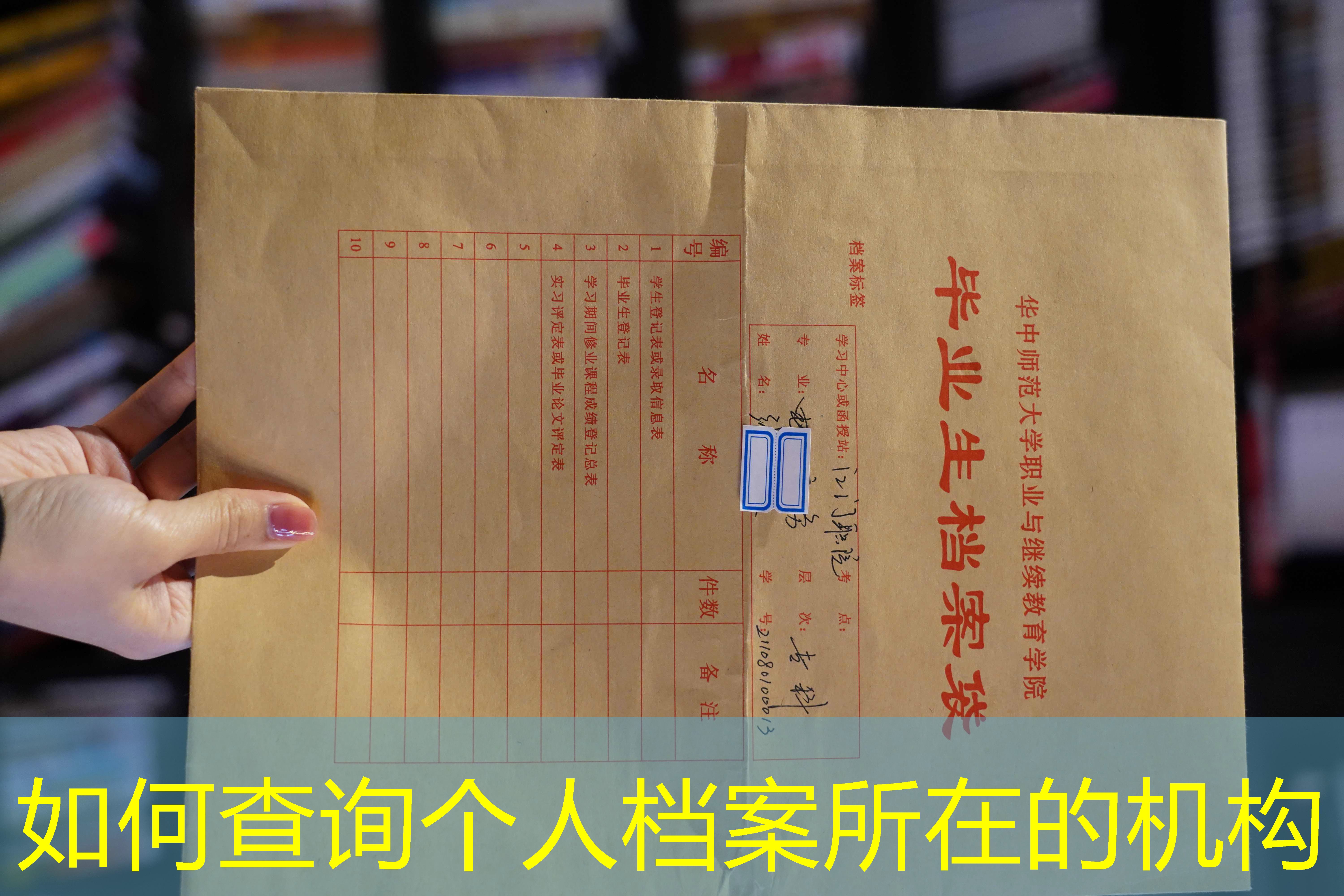档案查询