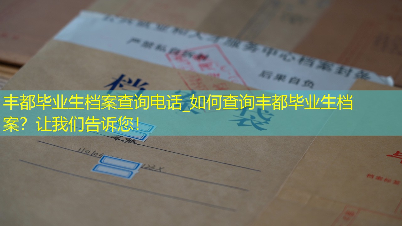 档案查询