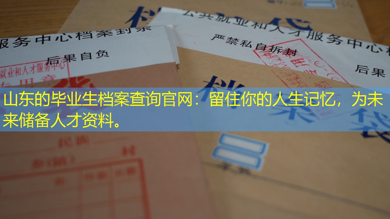 档案查询