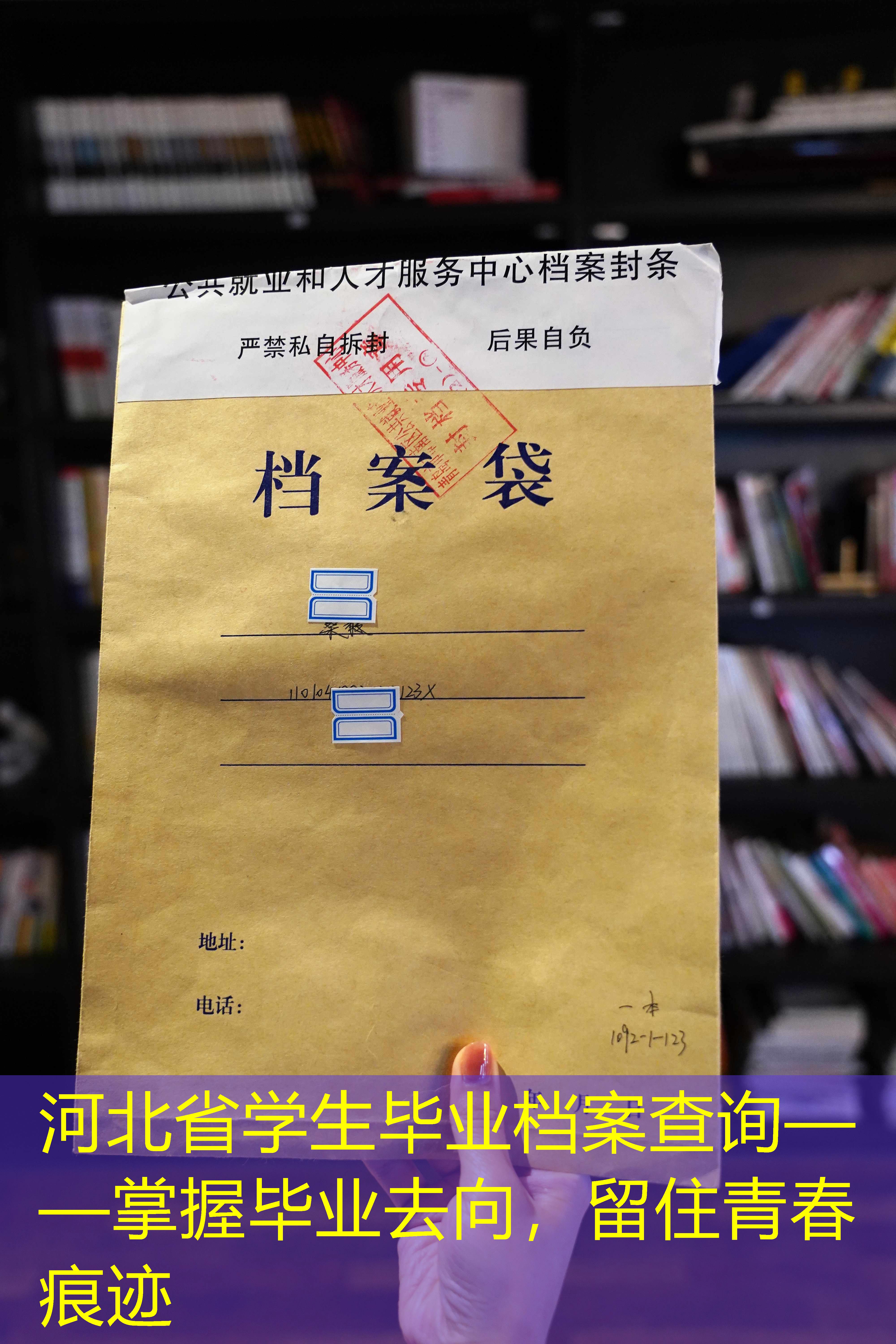 档案查询