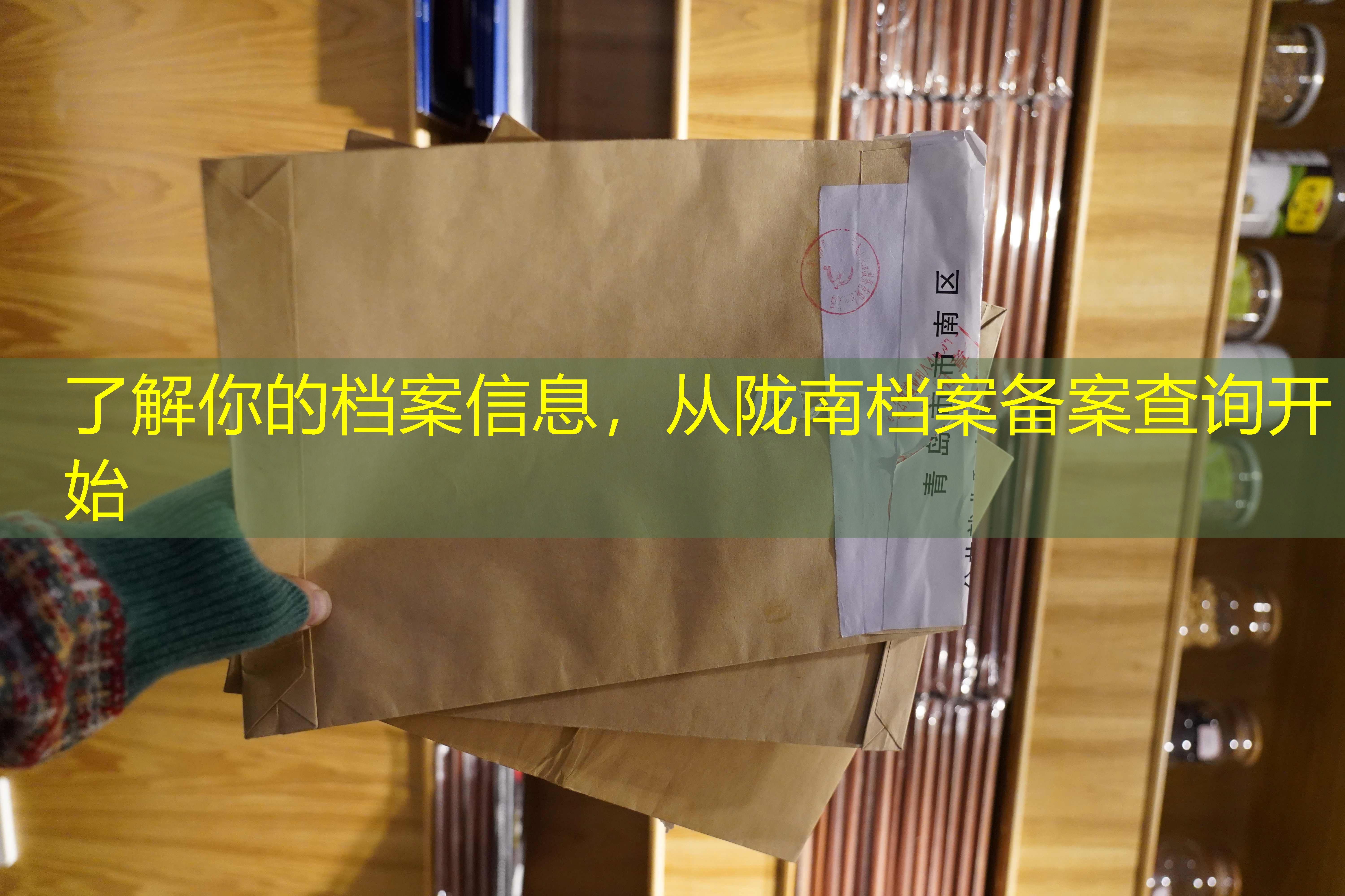 档案查询