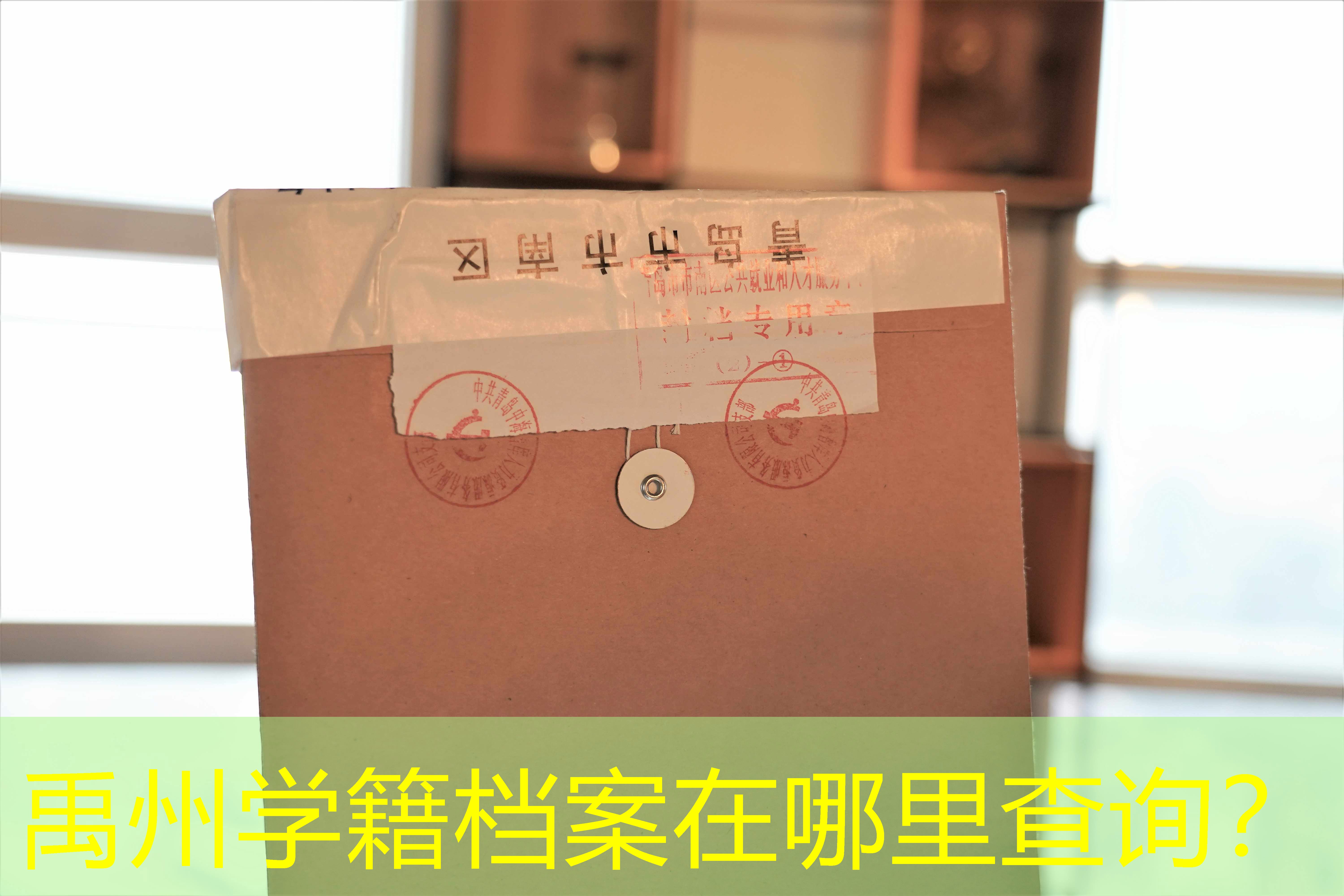 档案查询