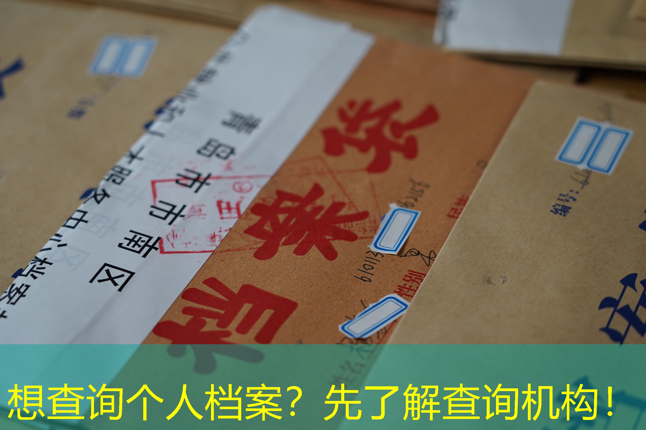 档案查询