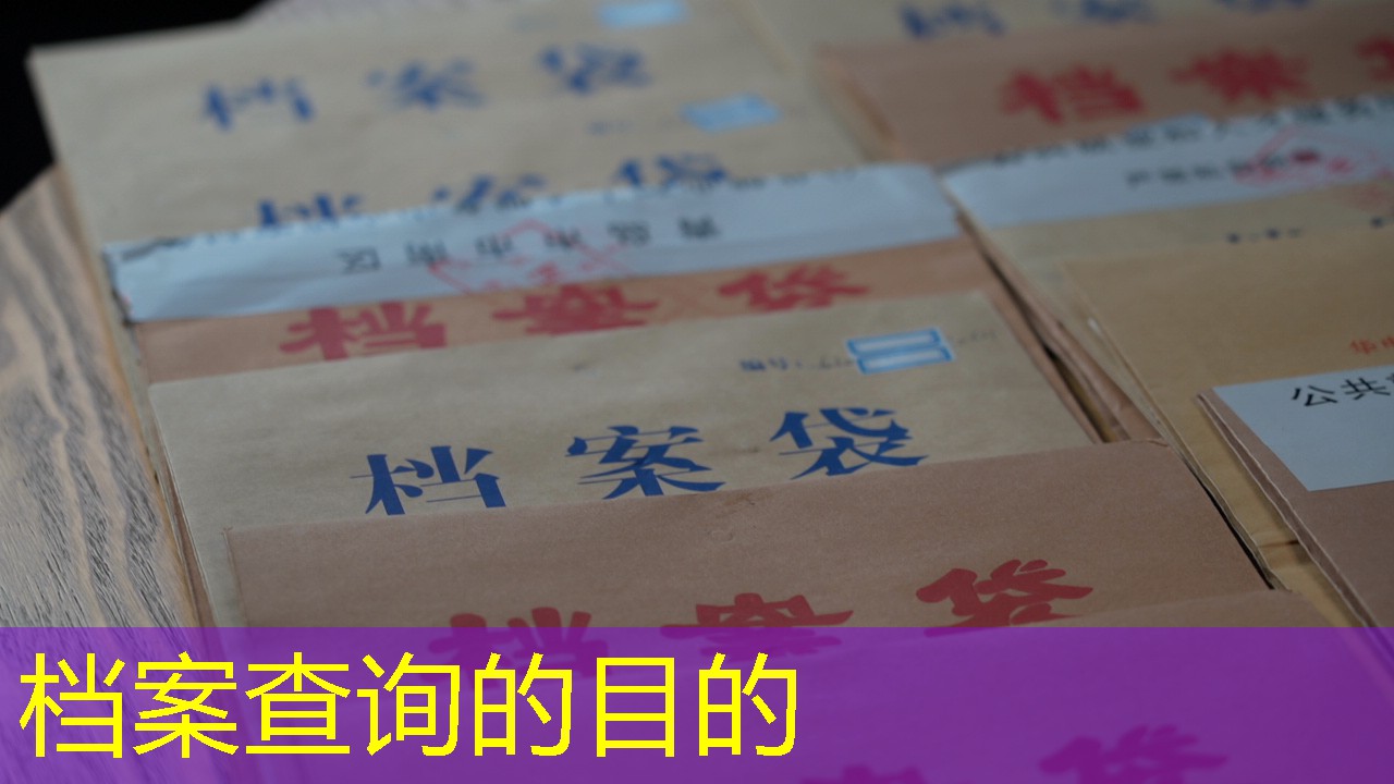 档案查询