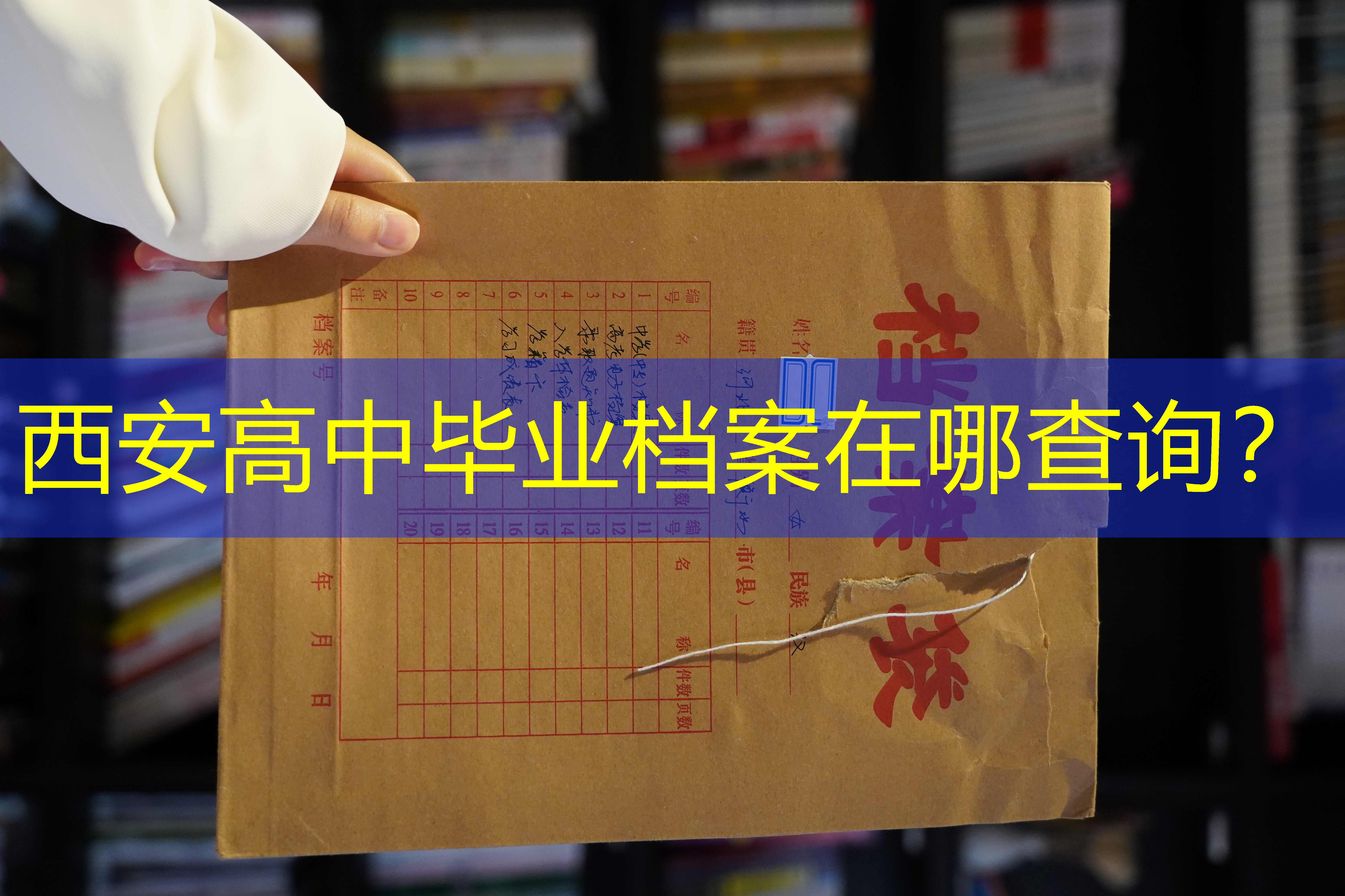 档案查询
