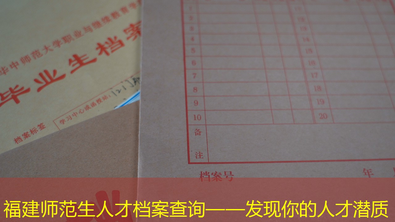 档案查询