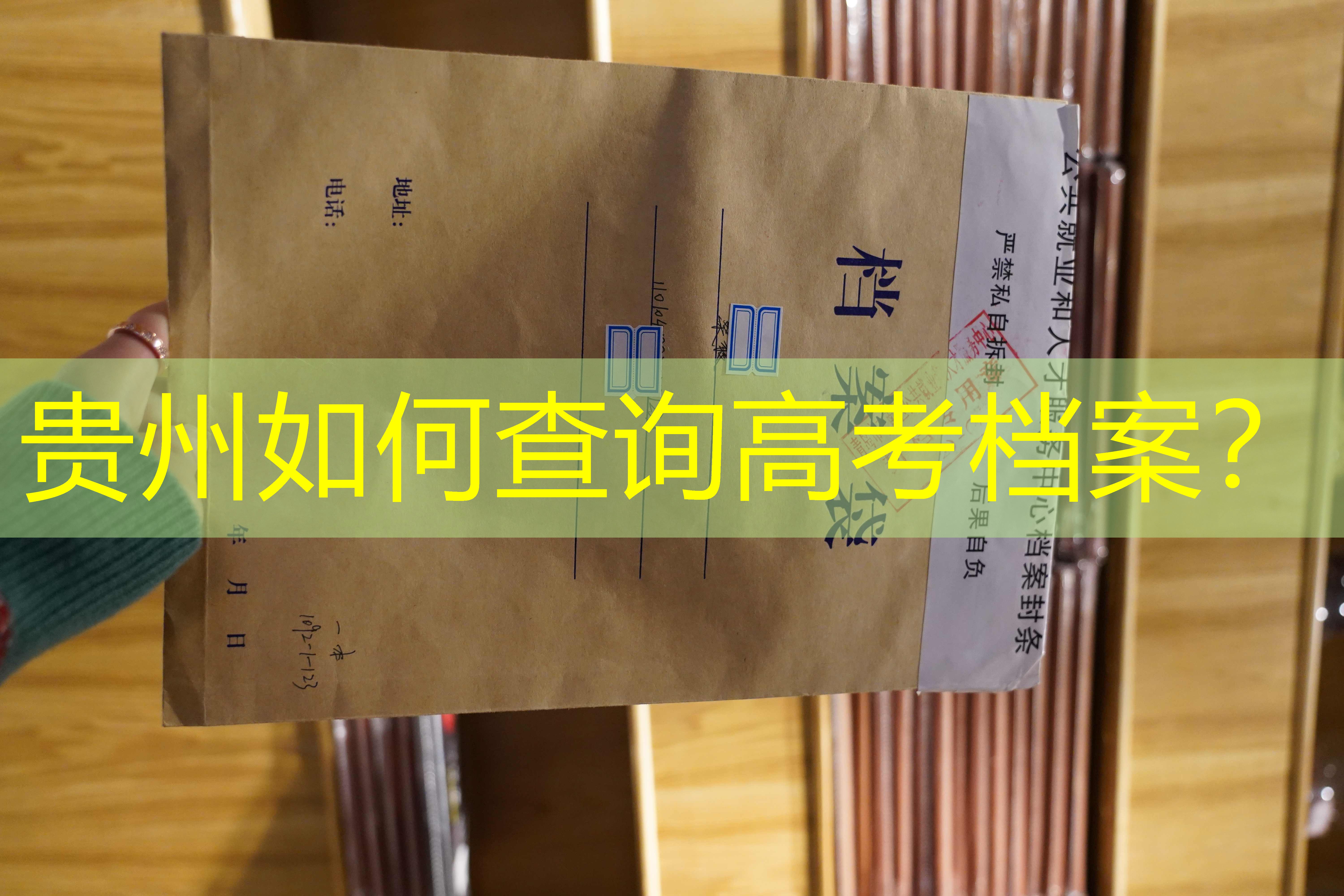 档案查询