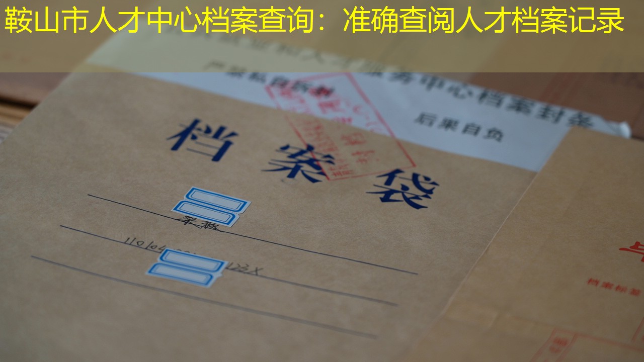 档案查询