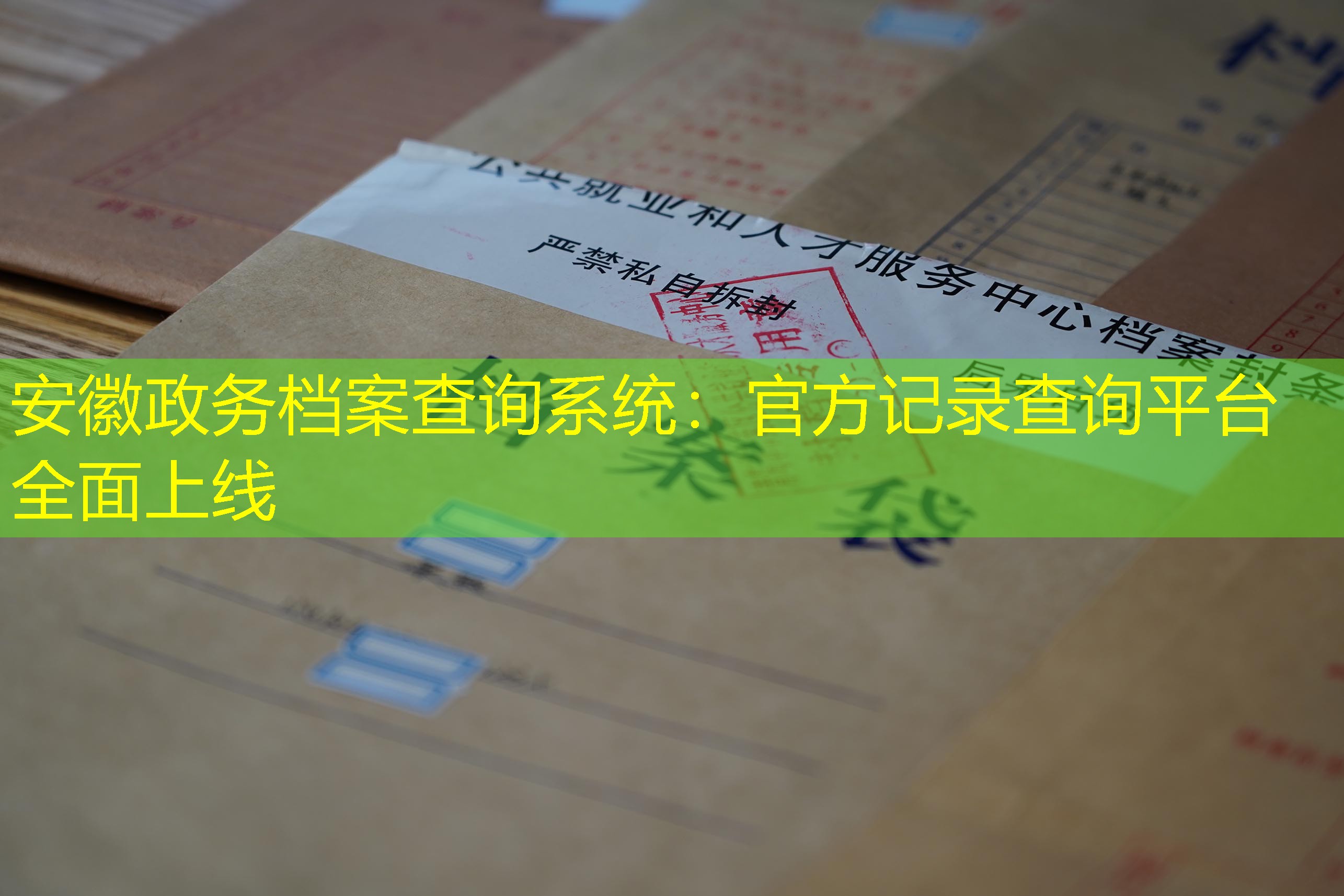 档案查询