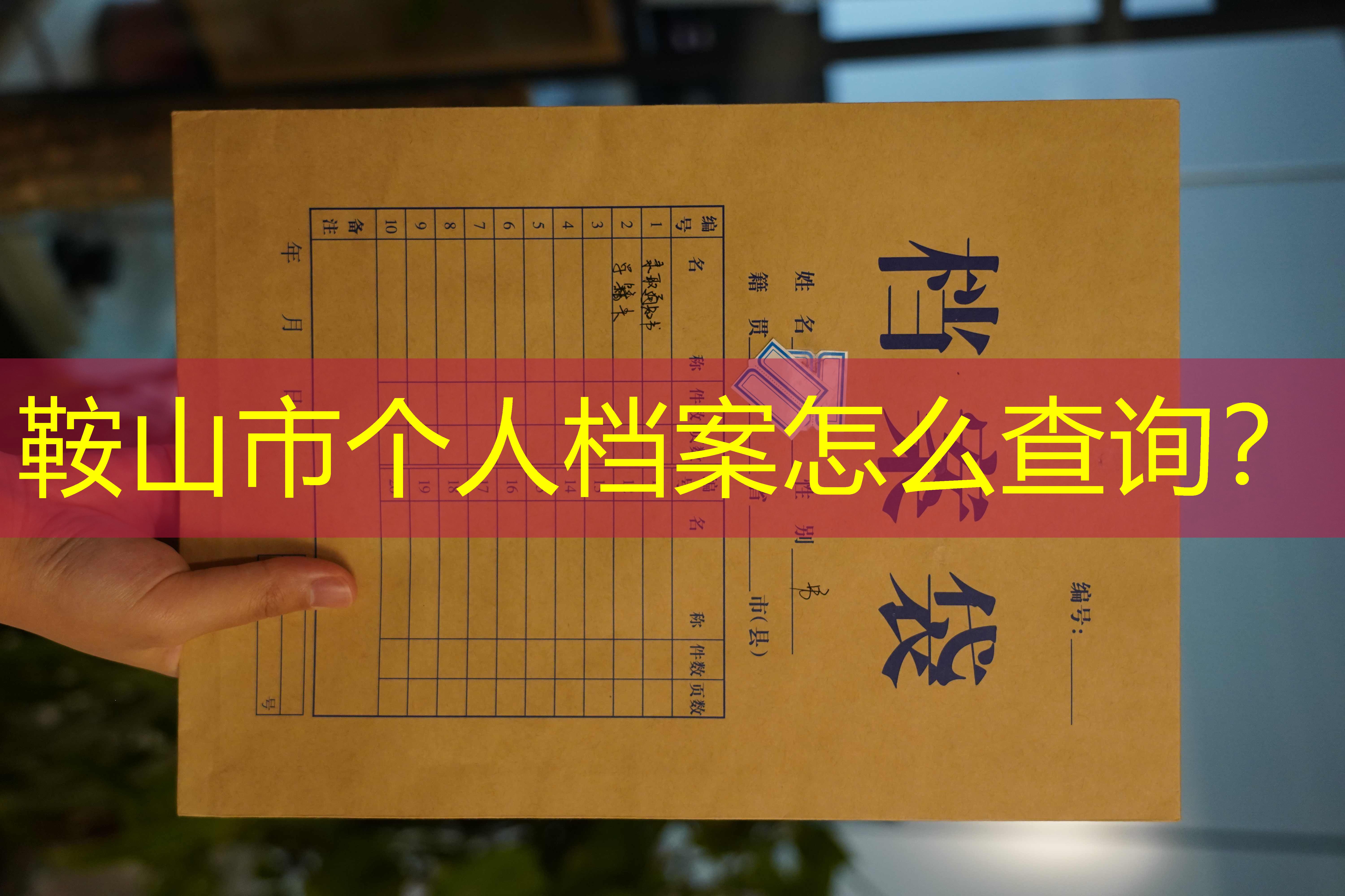 档案查询