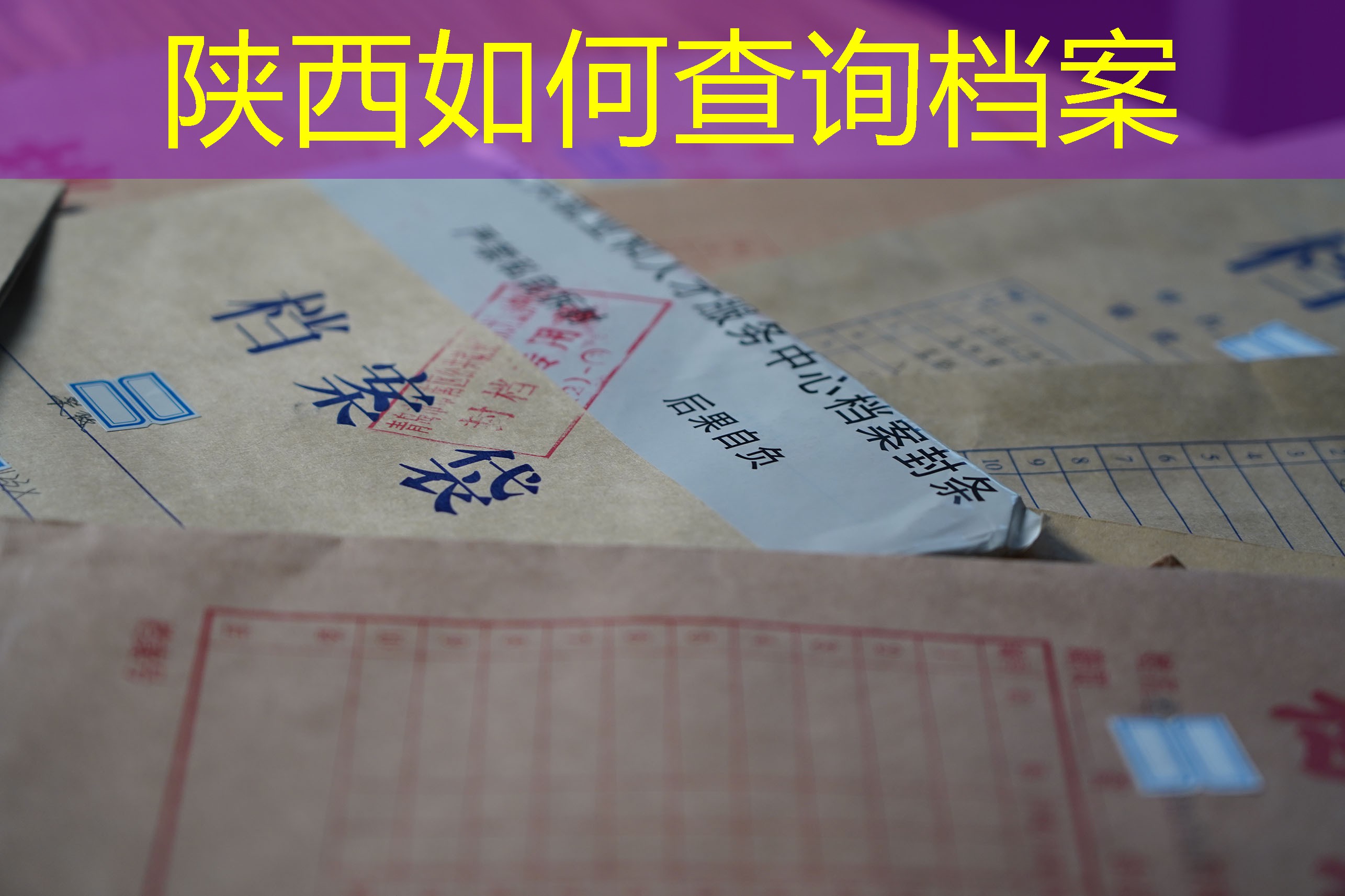档案查询