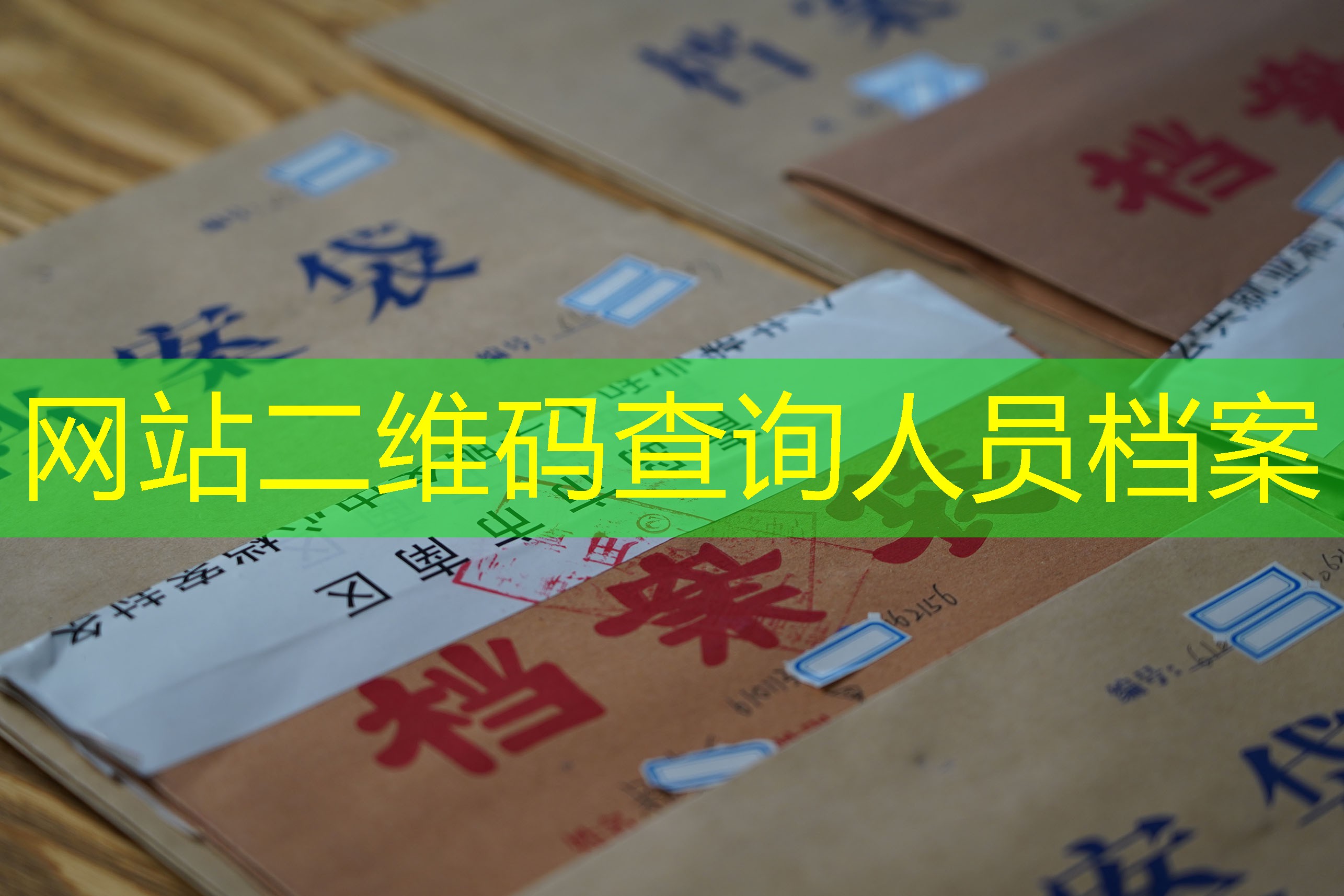 档案查询