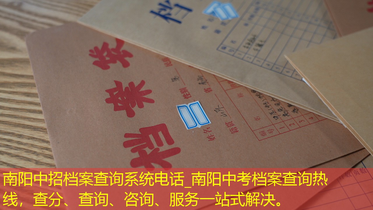 档案查询
