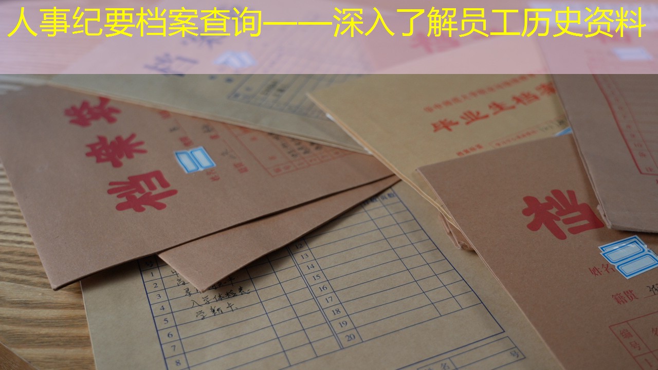 档案查询