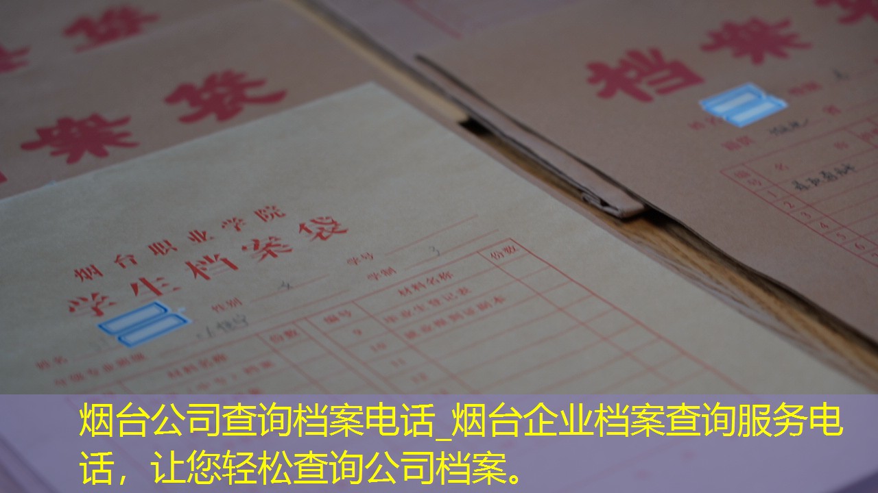 档案查询
